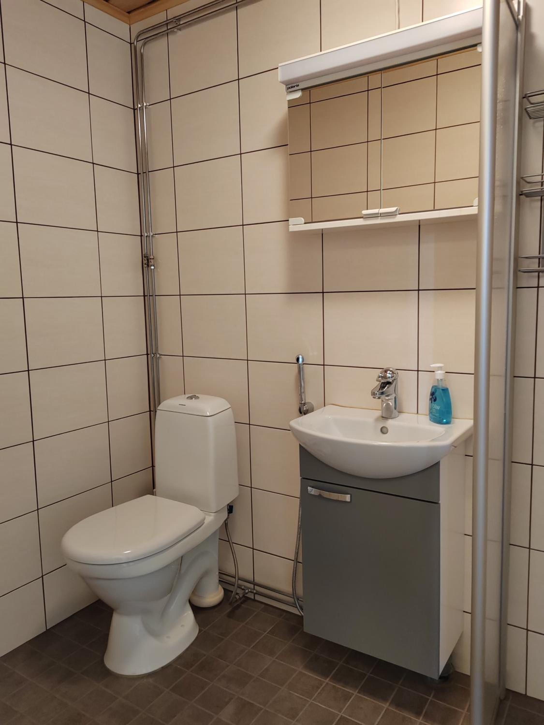 Maalaistalon päätyhuoneisto Merikarvialla