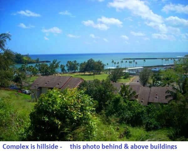 Banyan Harbor view 5