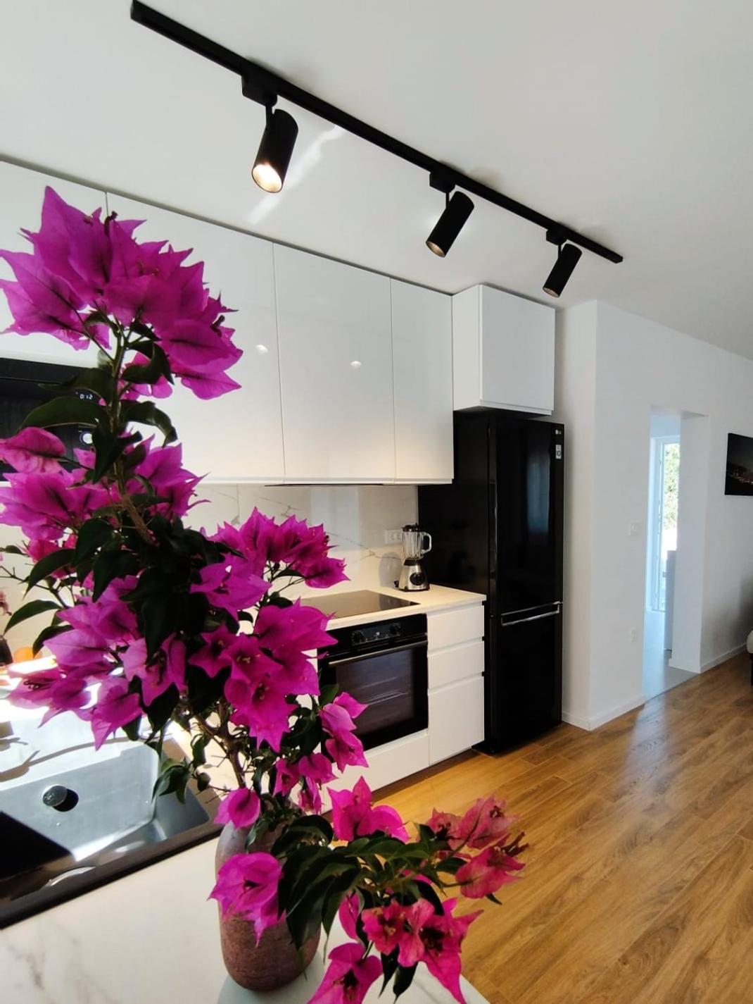 Apartment Maslina