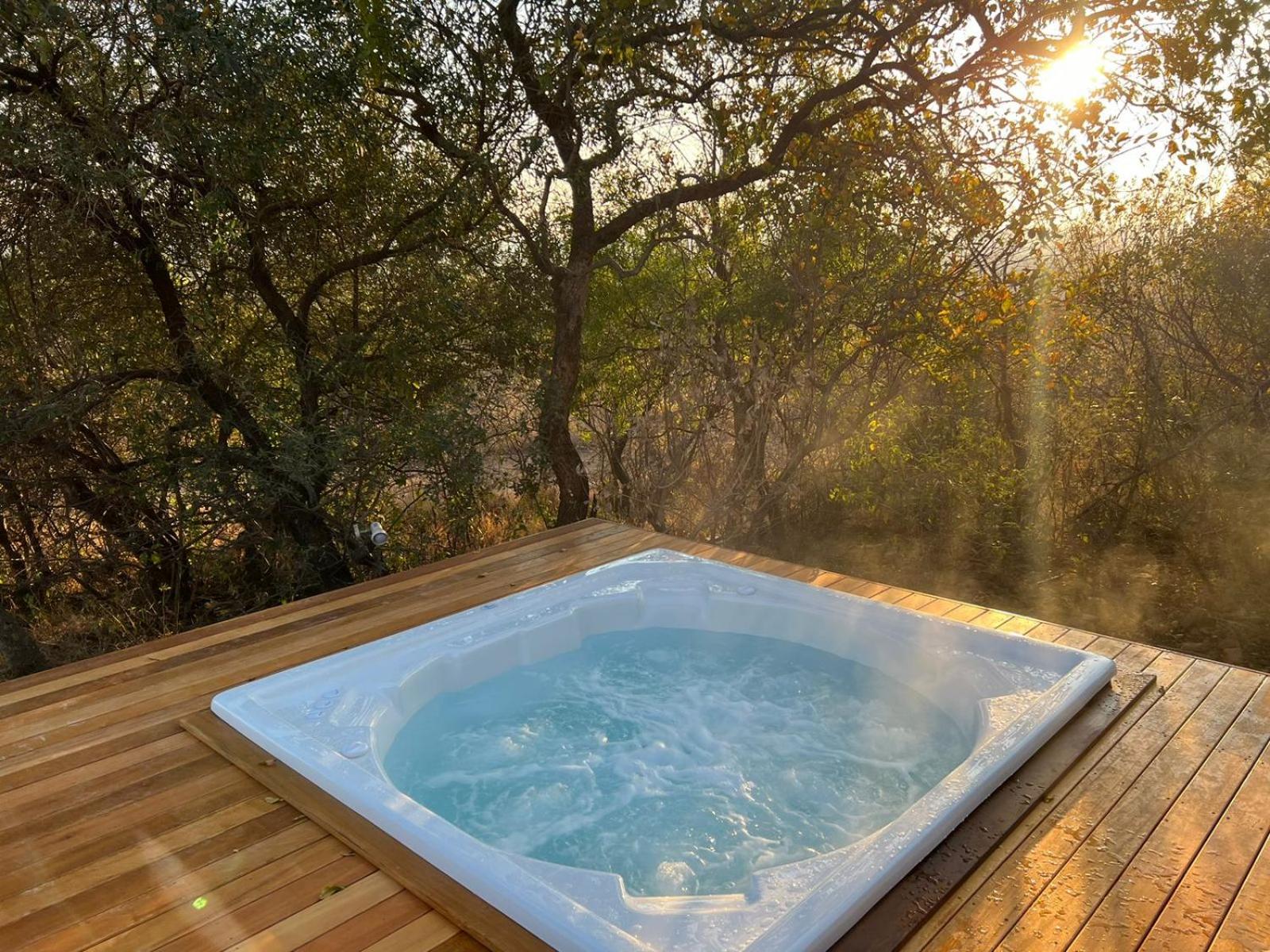 Shasha Lodge, Mabalingwe Game Reserve view 4