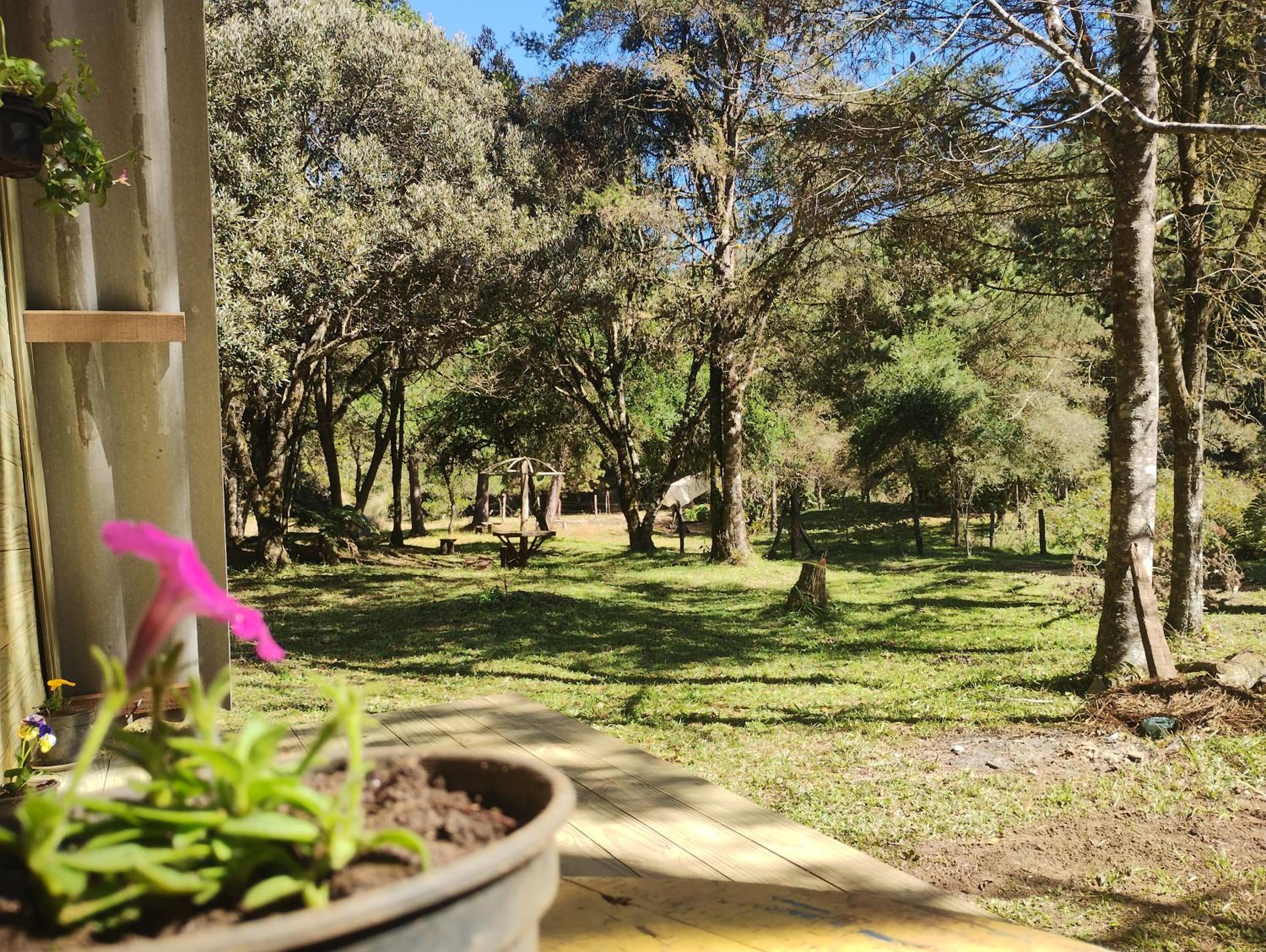 Sítio flor da montanha