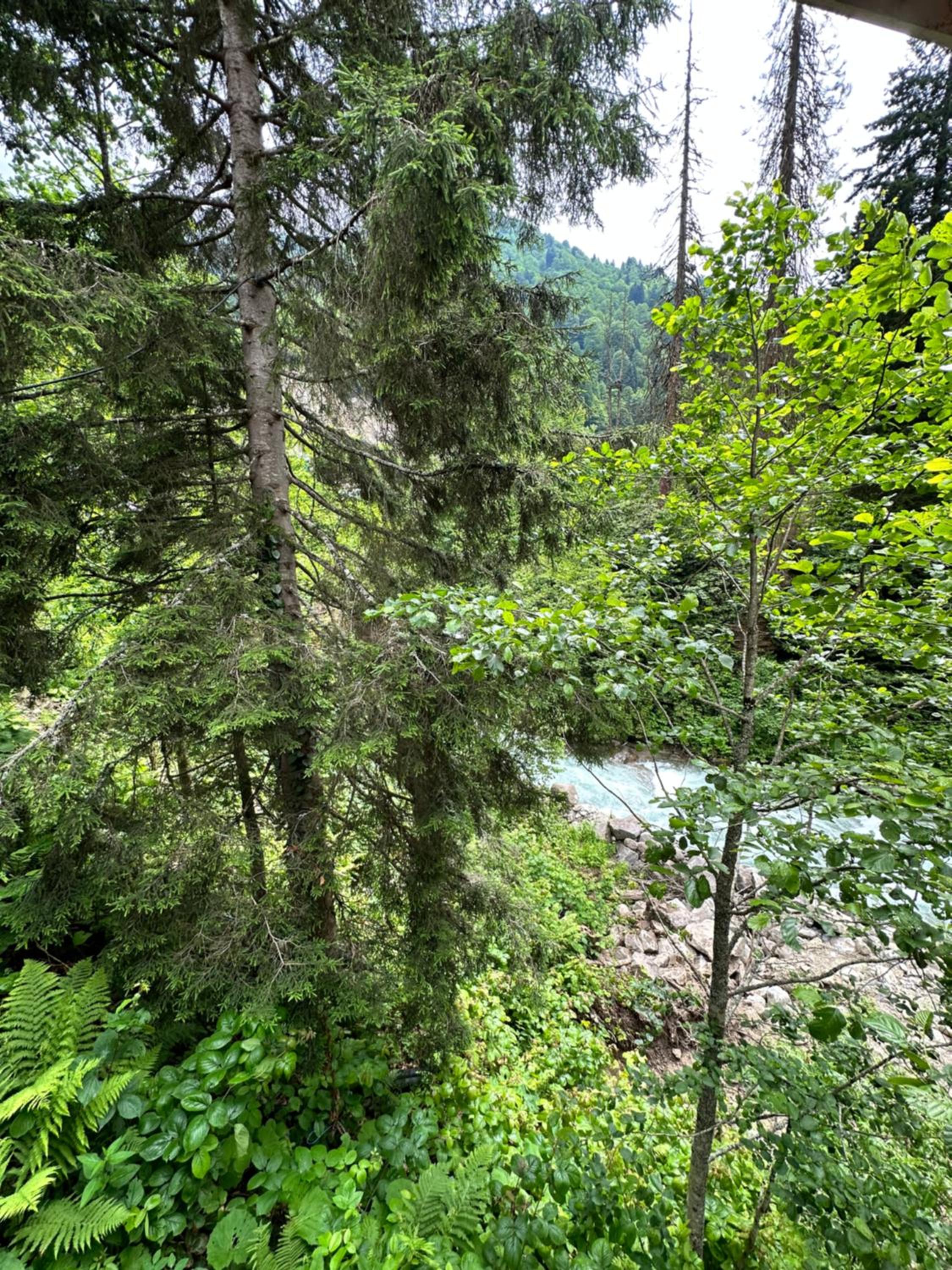 Photo 31
