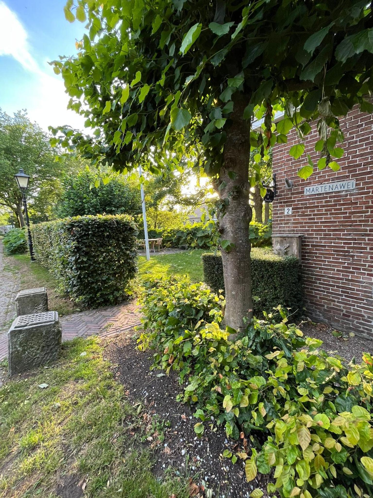 Bed and Breakfast Stinzenflora