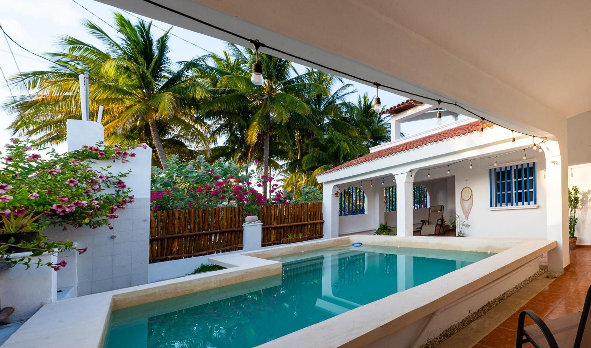 Photo 41