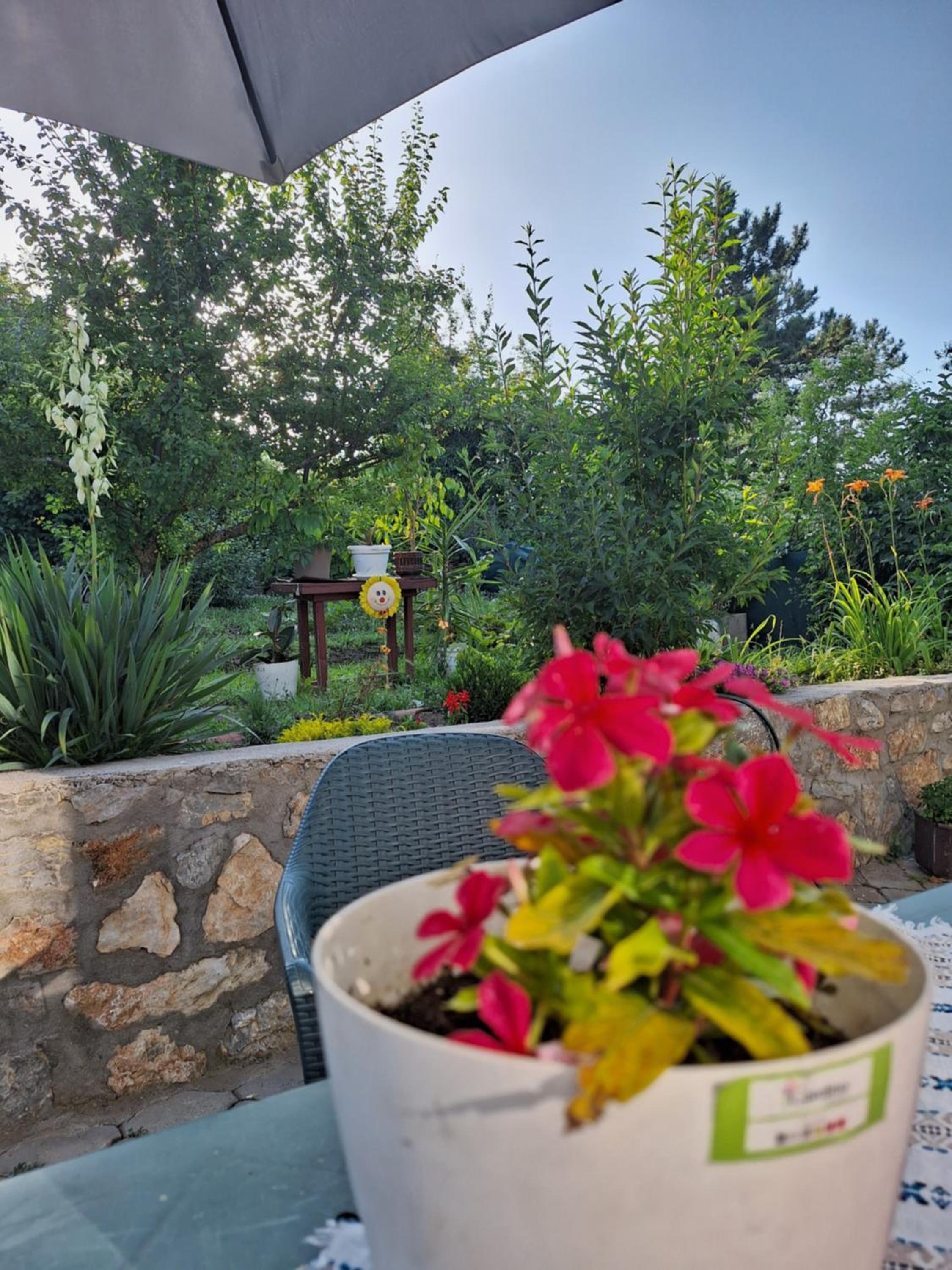 Villa Ella apartments