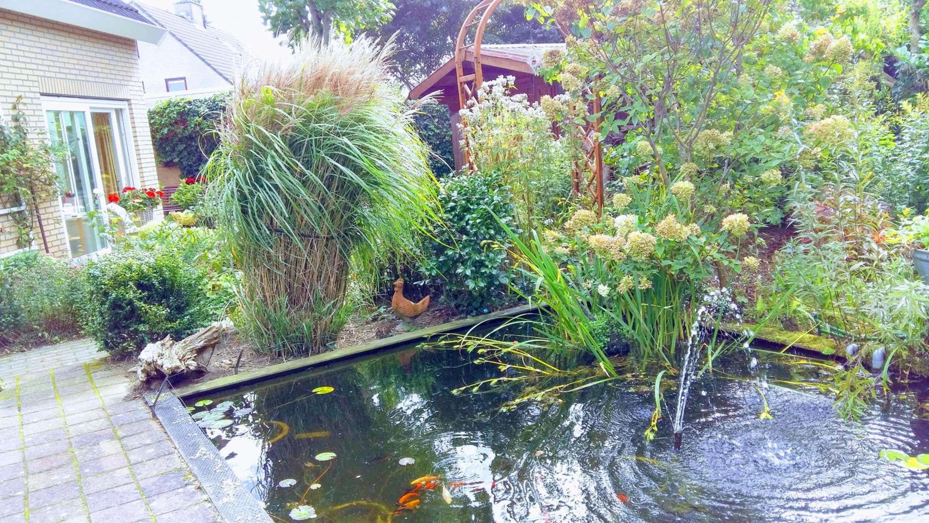 Photo 12