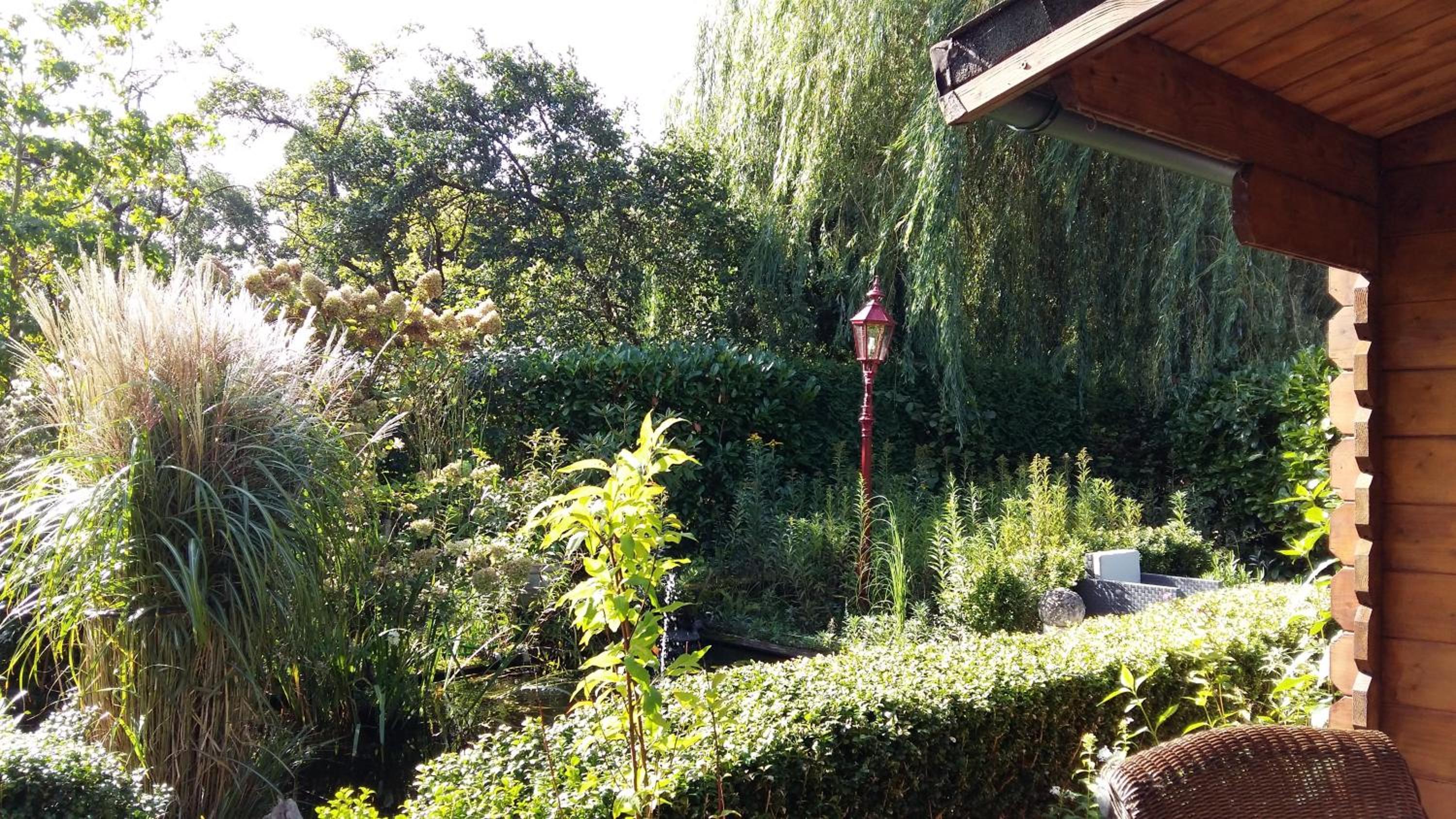 Photo 18