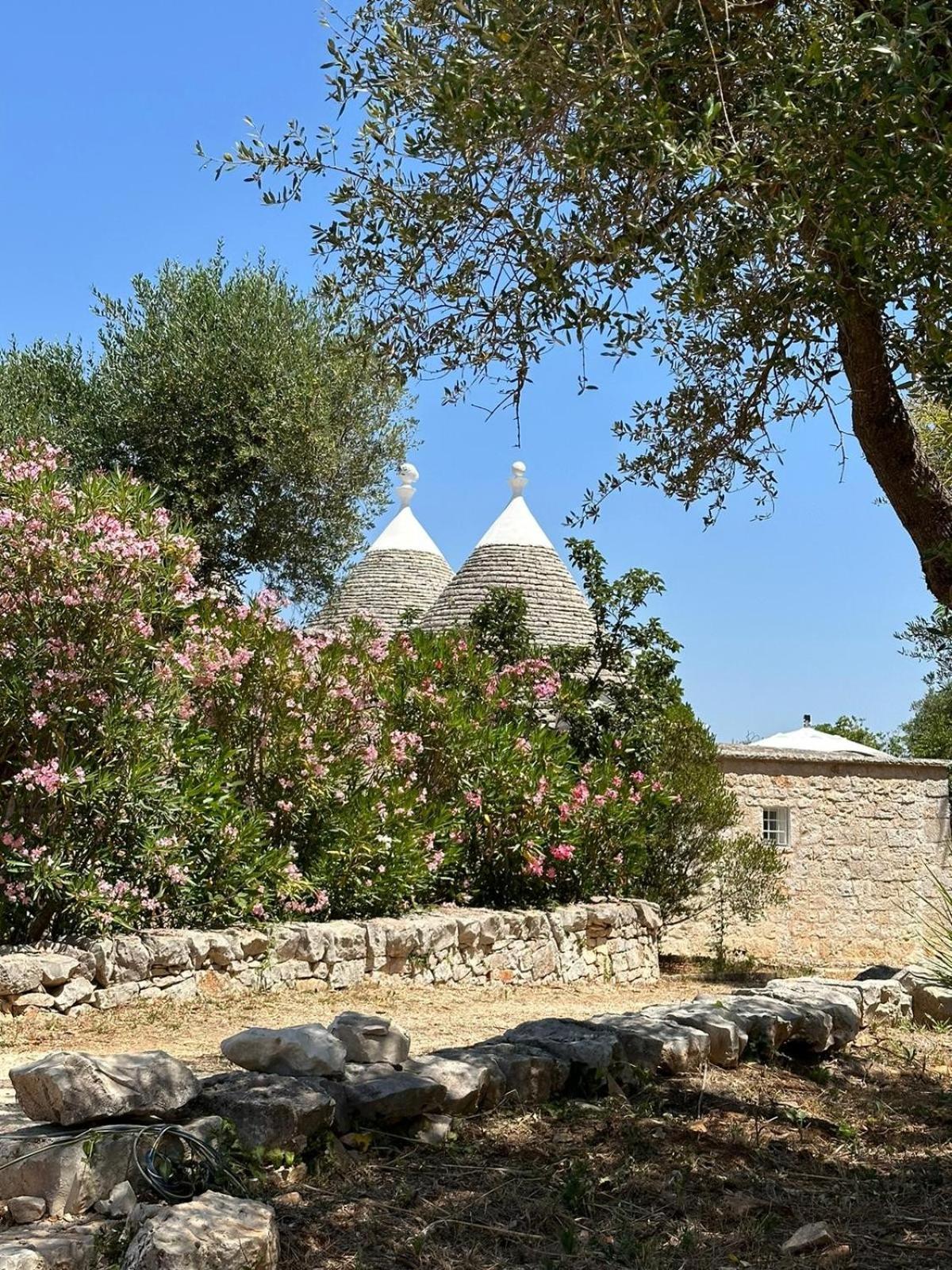 Photo 42