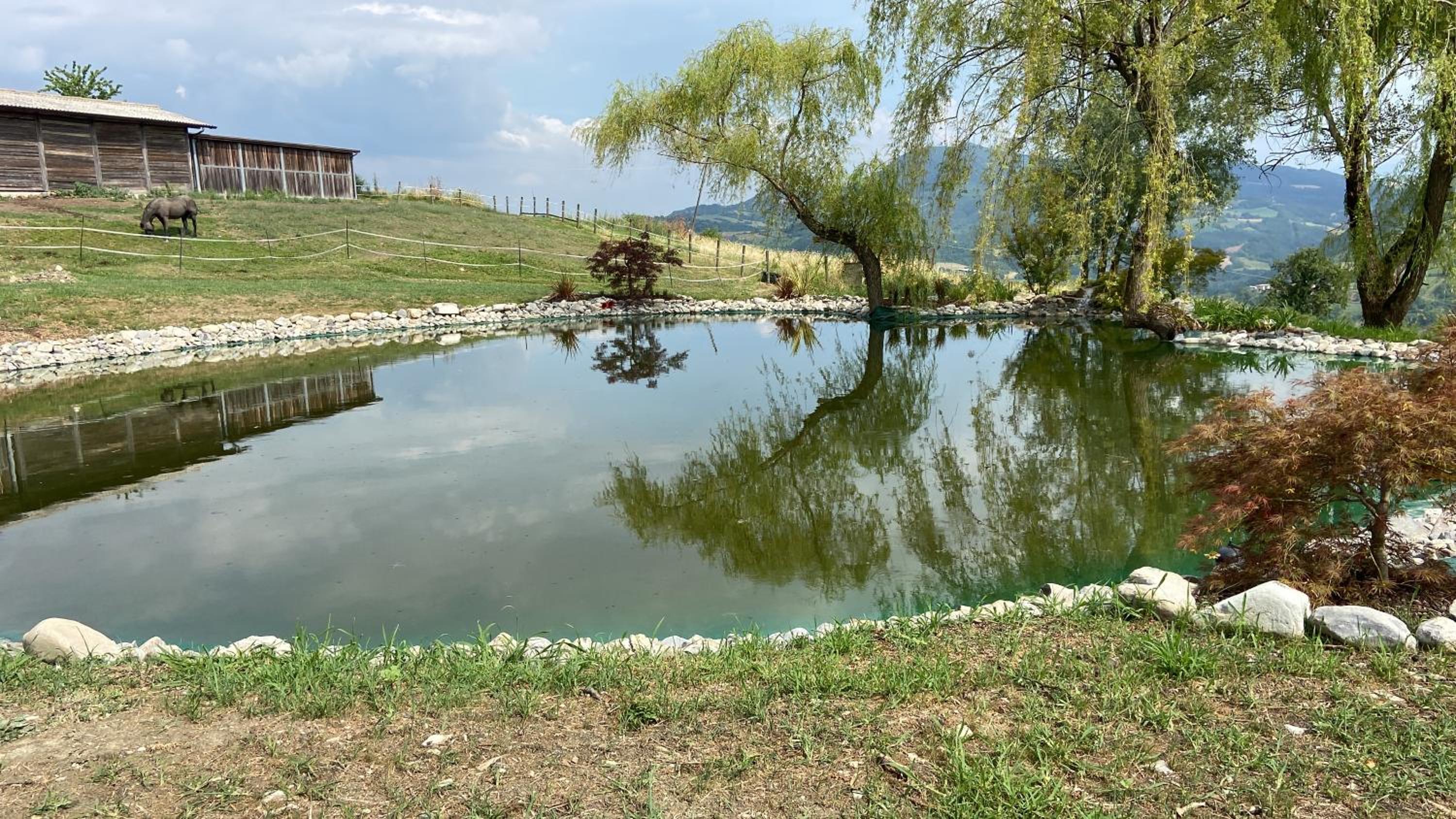 Agriturismo cergallina