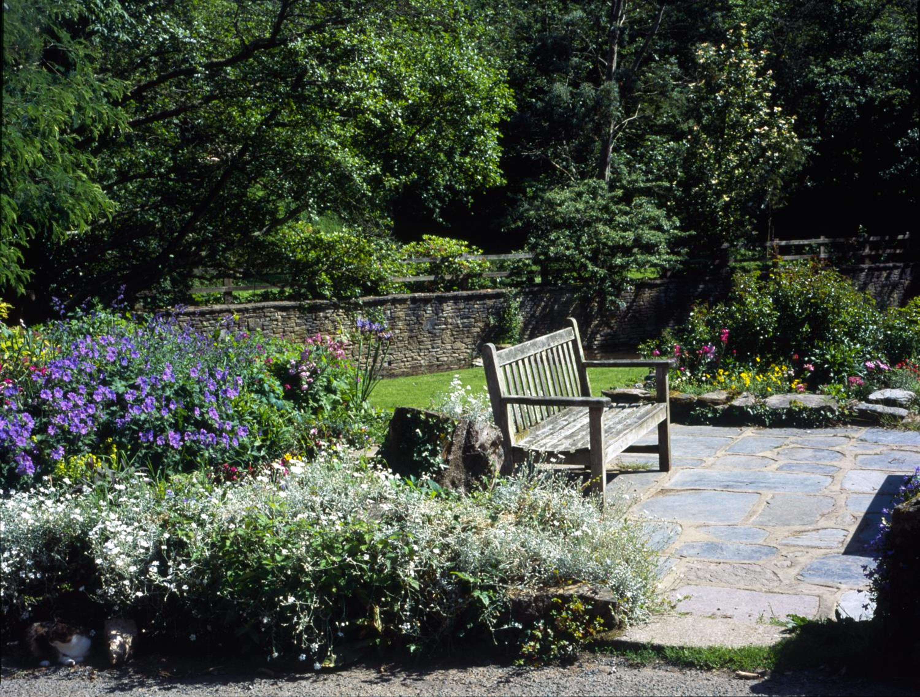 Watermill Cottages - 18th Century converted Mill 10 mins from beach view 3