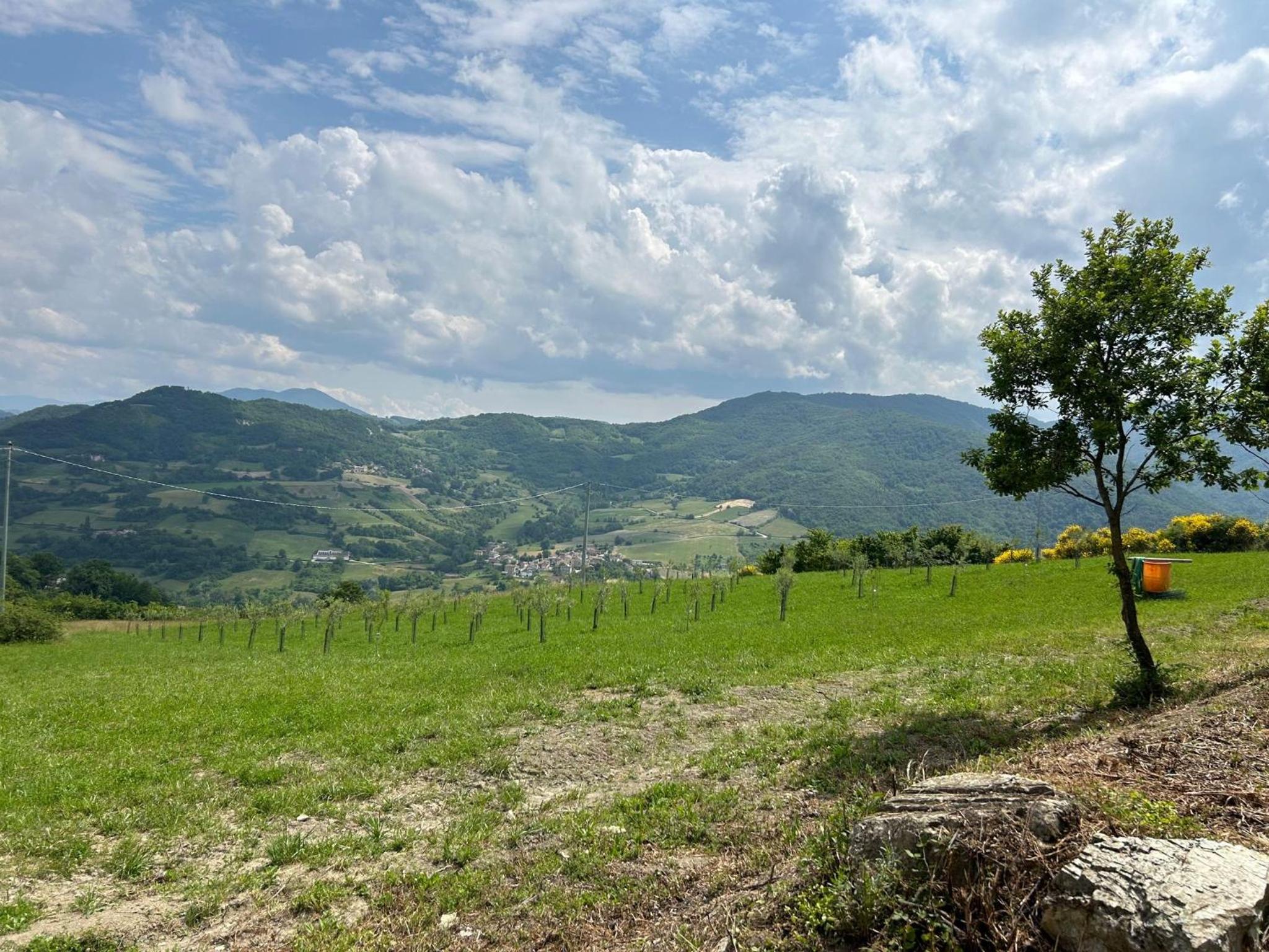 Agriturismo cergallina