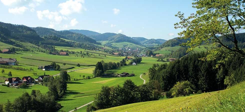 Gasthaus Zum Wilden Mann