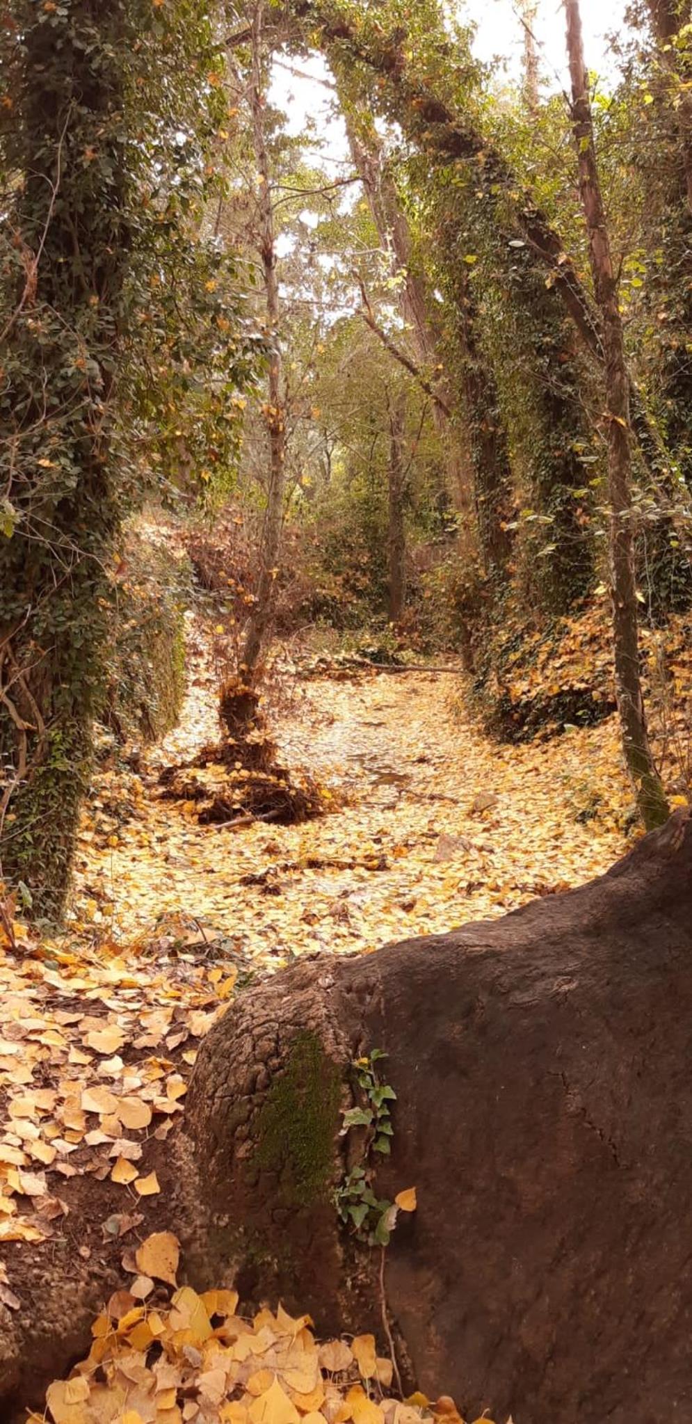 ALOJAMIENTO RURAL EL CASTAÑO