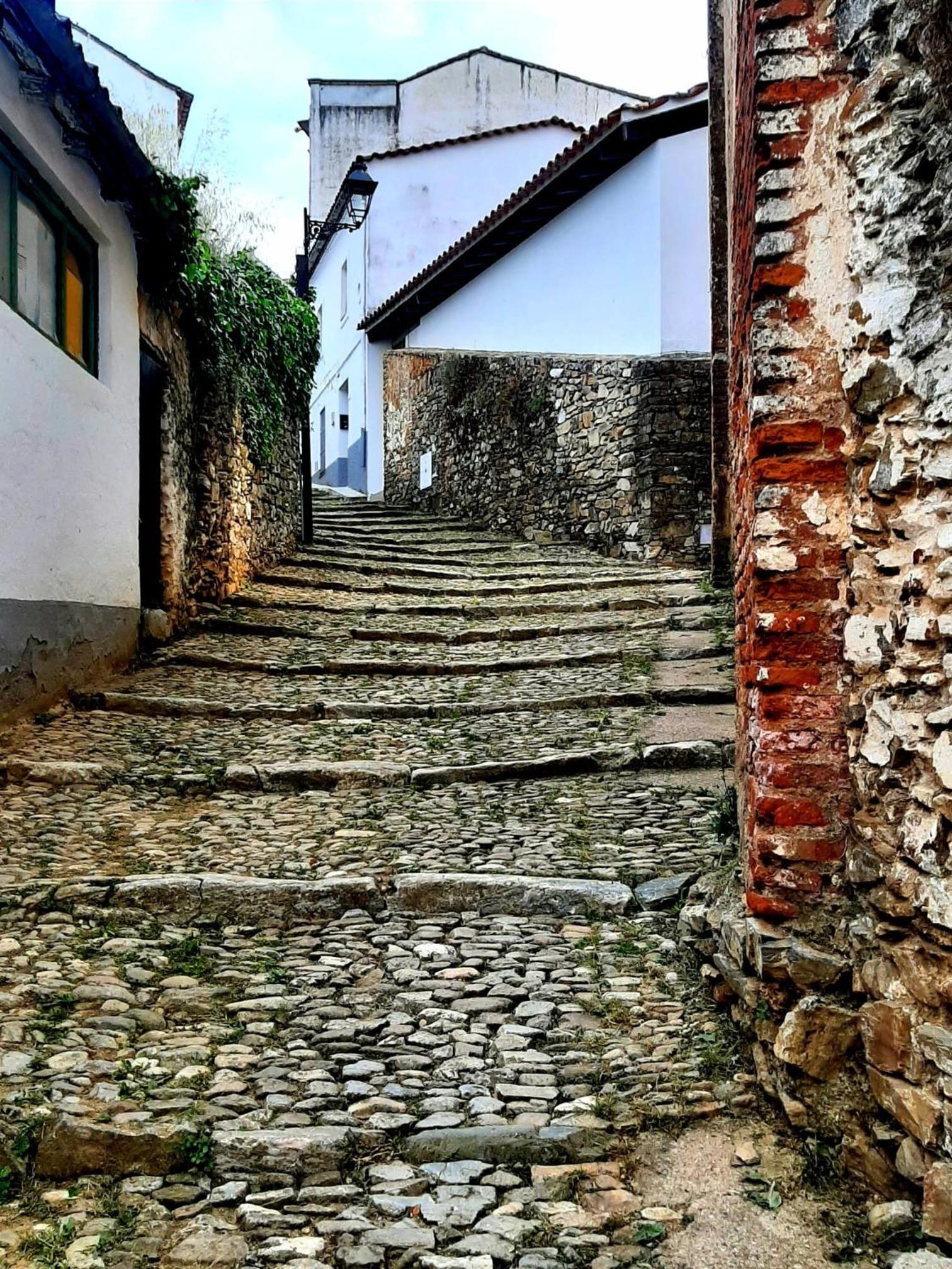 ALOJAMIENTO RURAL EL CASTAÑO