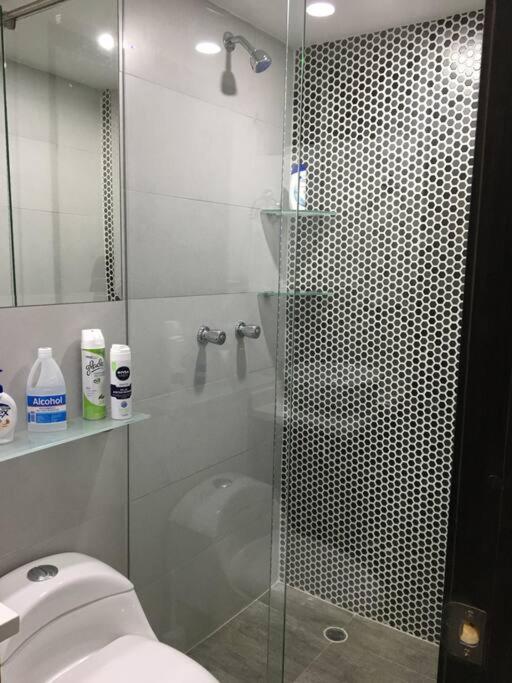 Luxurious apartment Bochalema