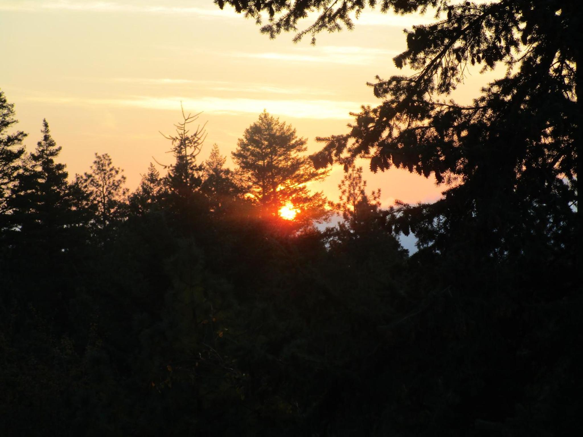 Okanagan Lake Sunrise BB