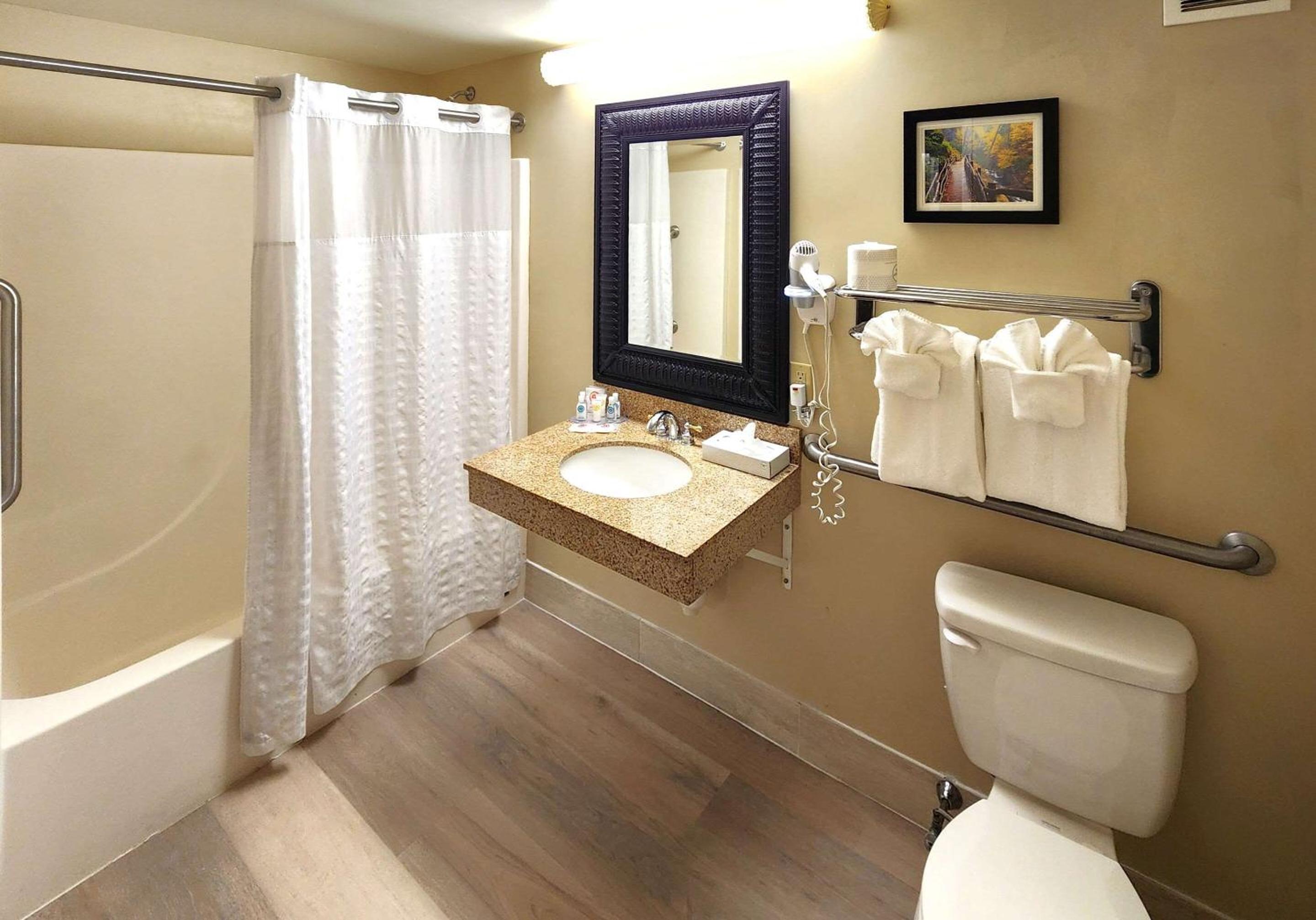 Mount Pocono Vacations - Comfort Inn  Suites Mount Pocono - Property Image 28