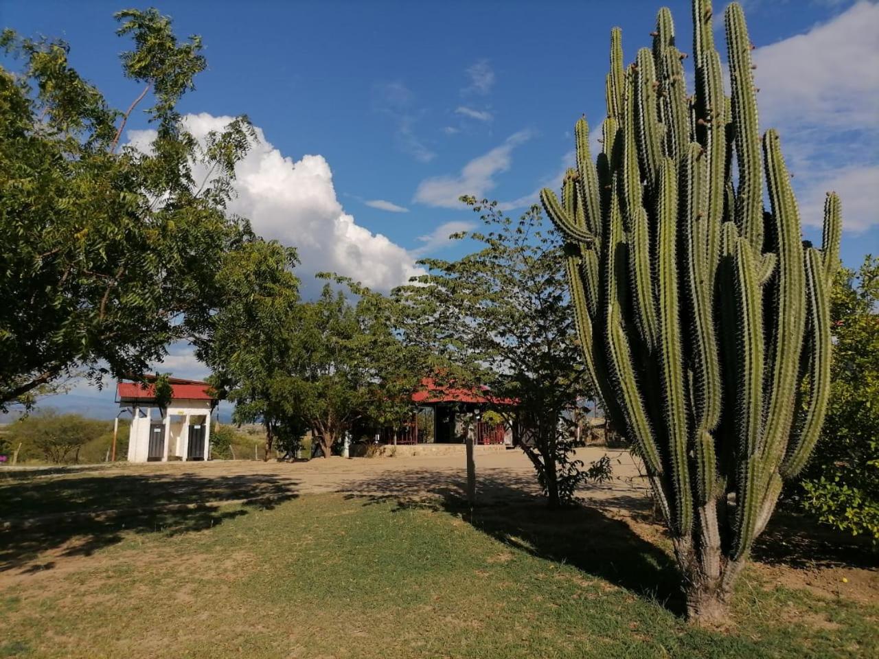 Payande - Tatacoa