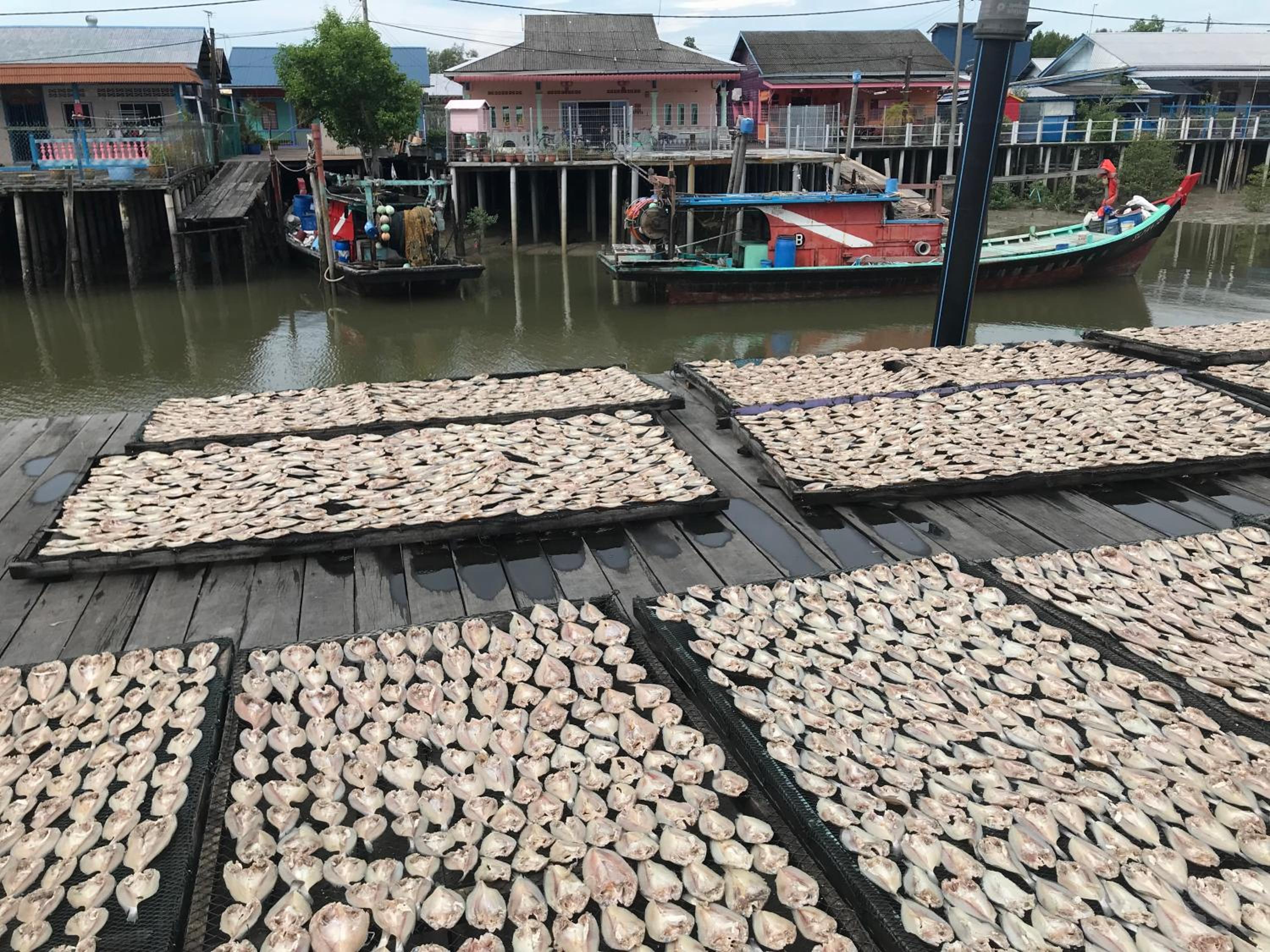 潮汐民宿 吉胆岛Tide Homestay Pulau Ketam