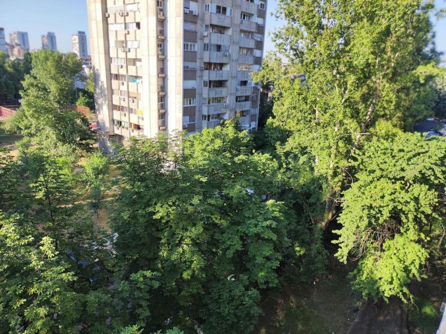 Magenta New Belgrade