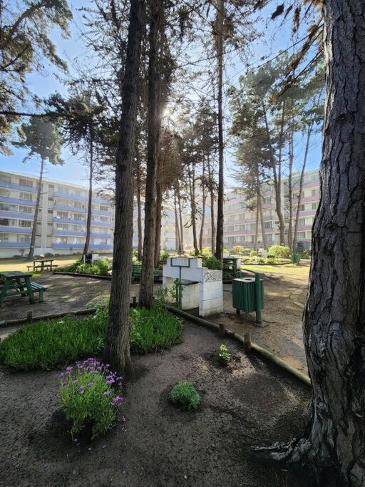 Condominio bosques del tabo,vista al mar