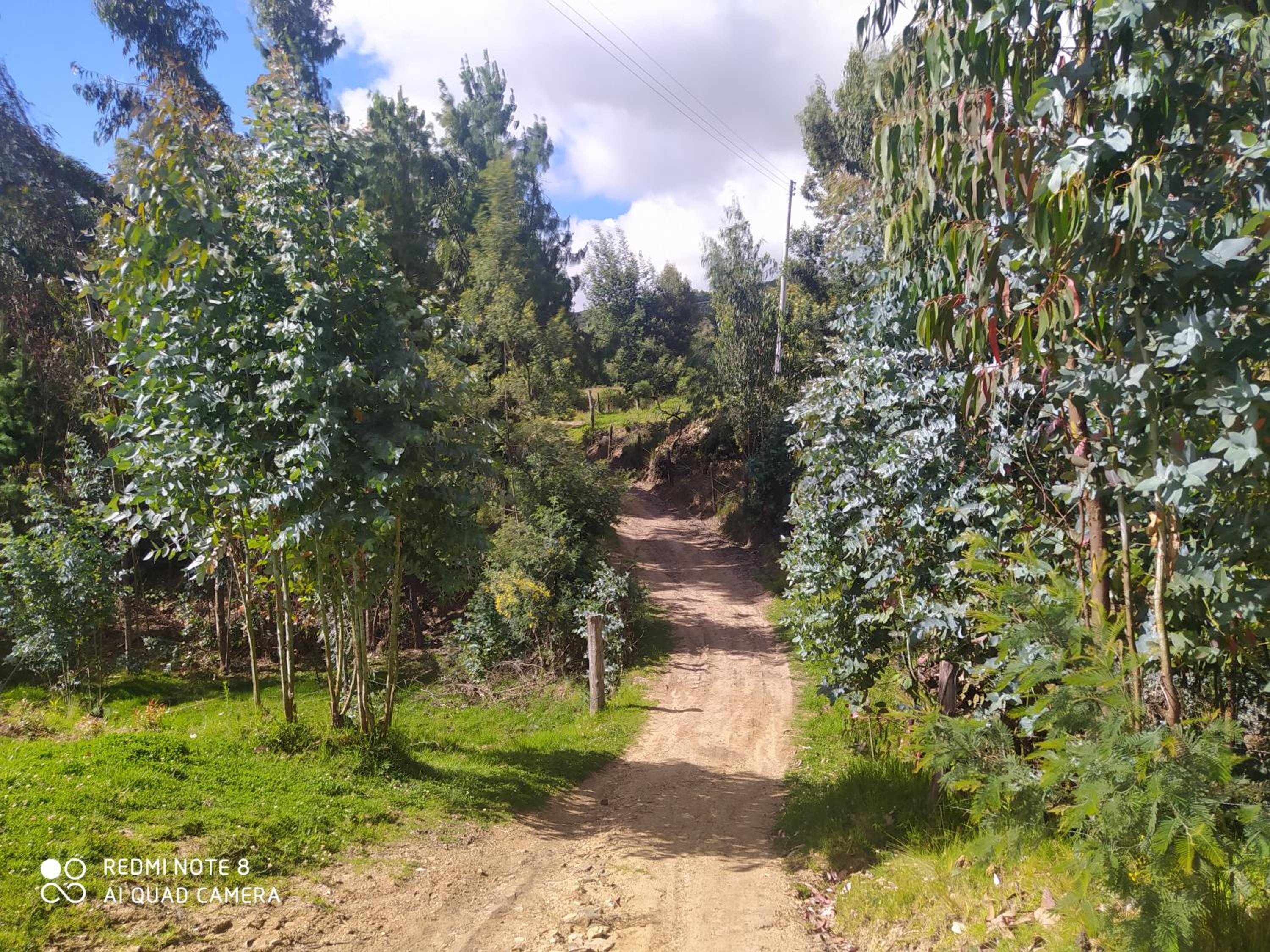 Cabaña la Rivera
