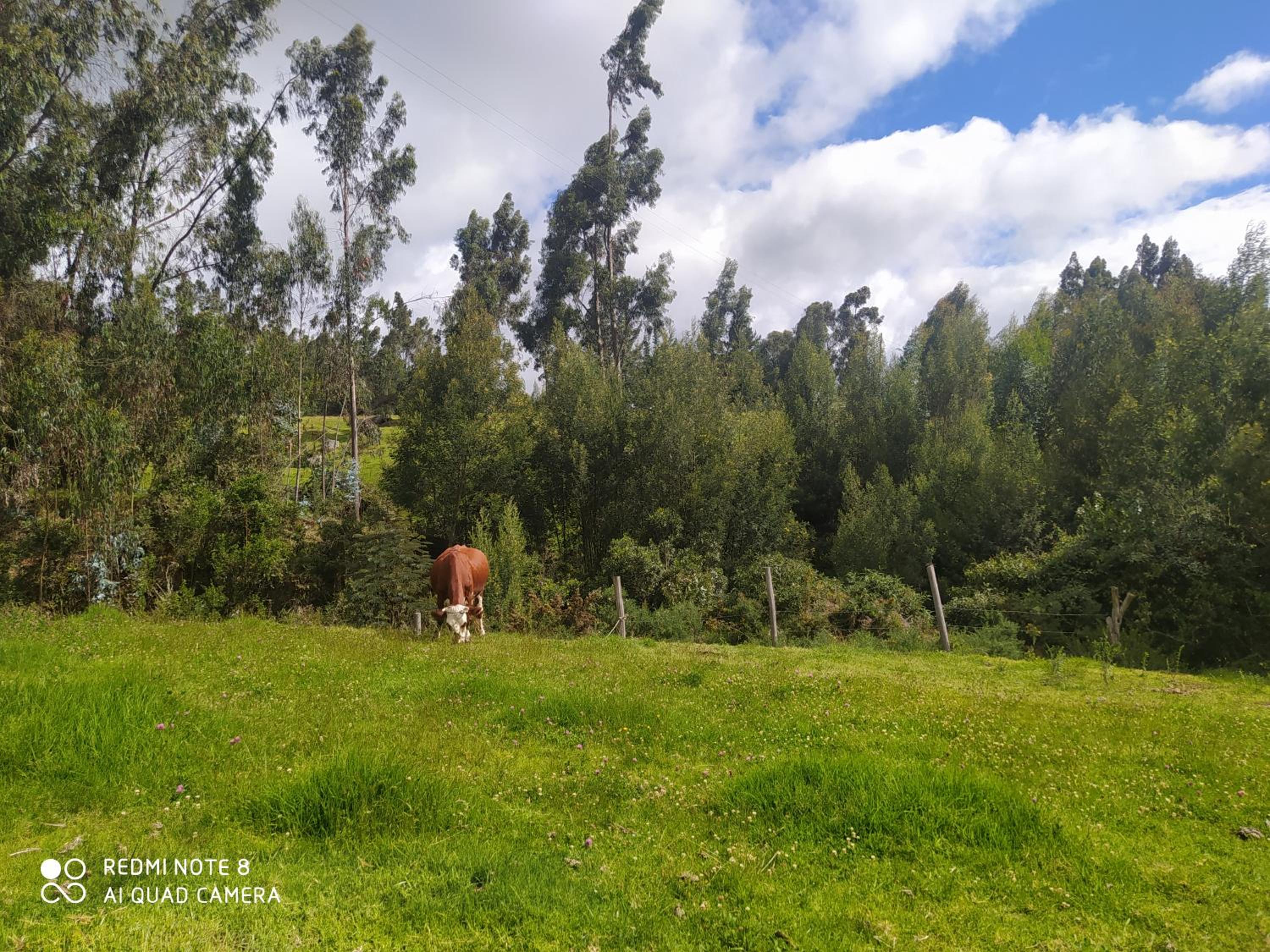Cabaña la Rivera