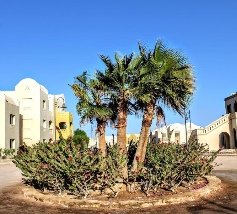 stylish studio in makadi heights