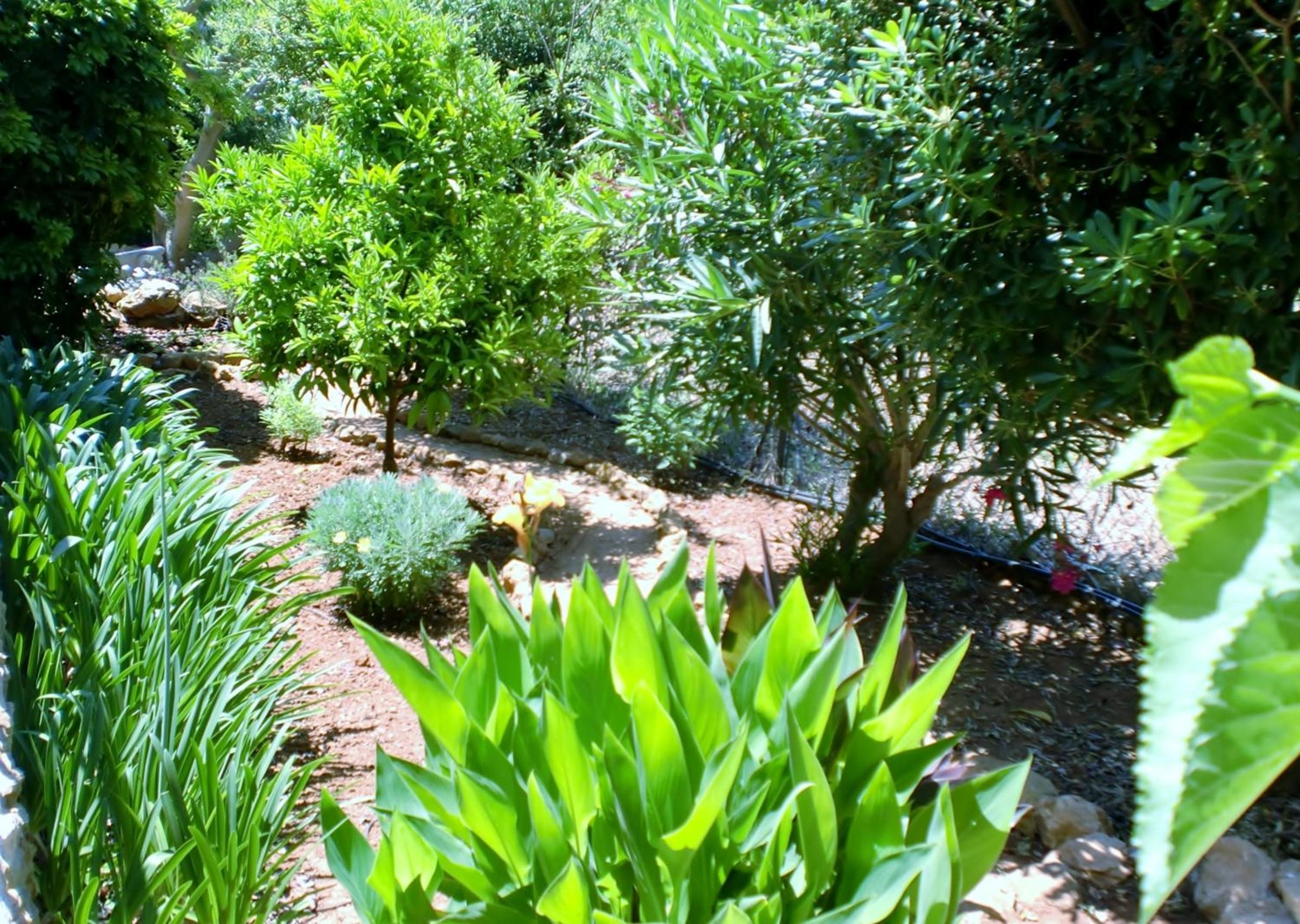 Quinta dos Caracois view 5