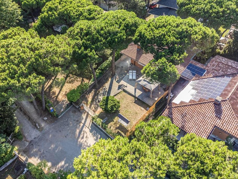 PINETA HOUSE LIGNANO [Free Parking-Beach-Garden] view 4