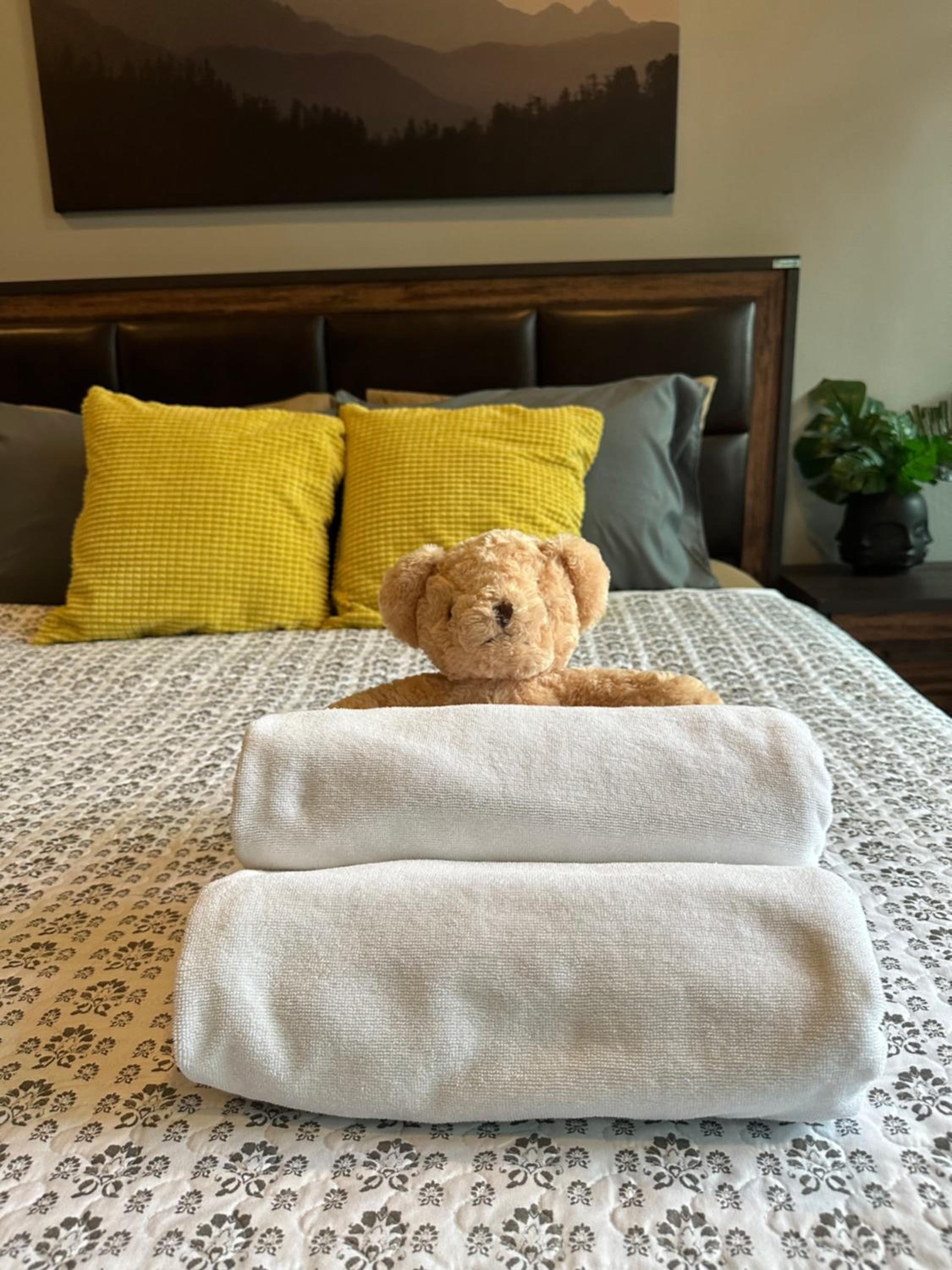 PomPom Home