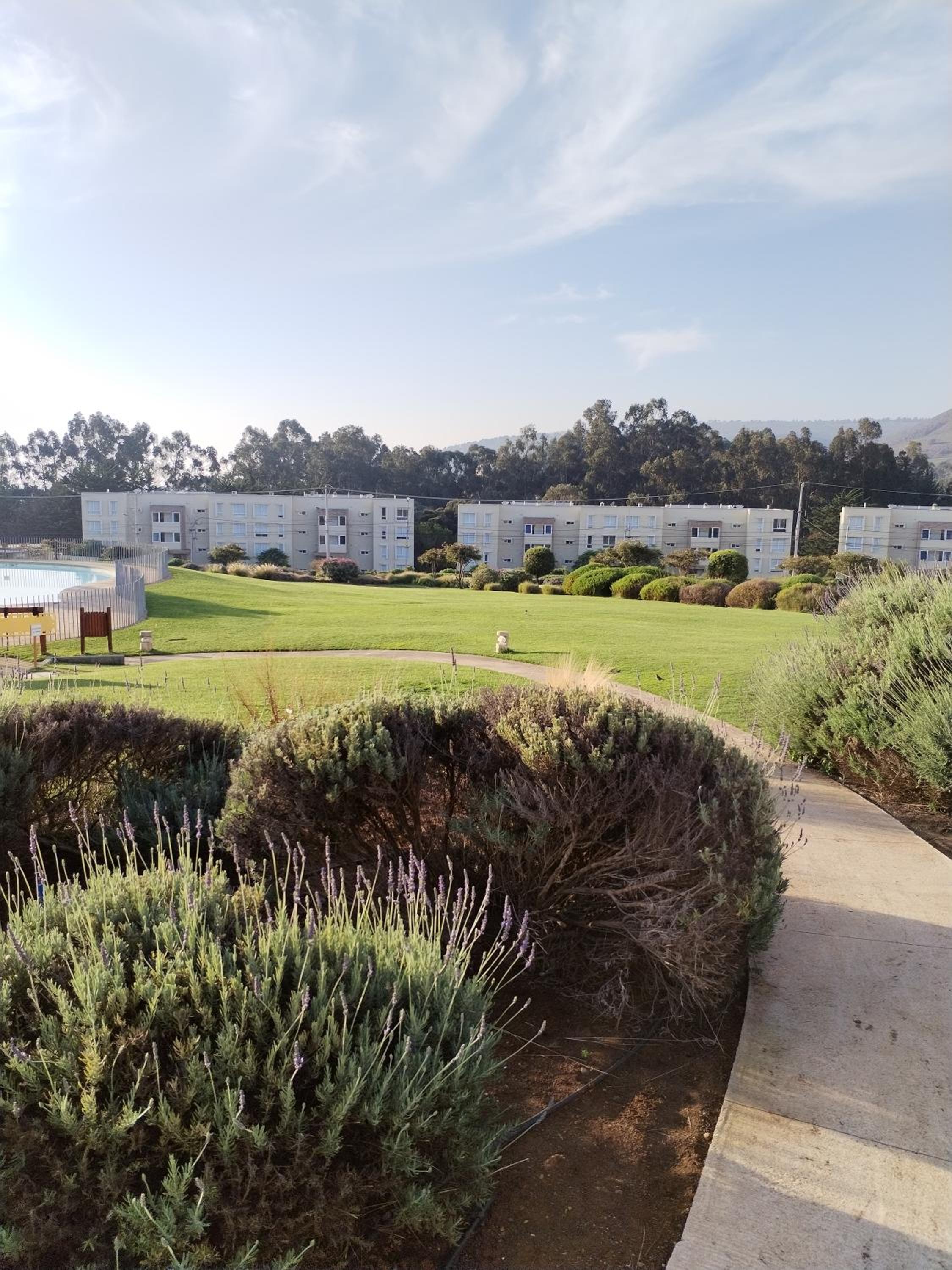 Lomas de Papudo 2