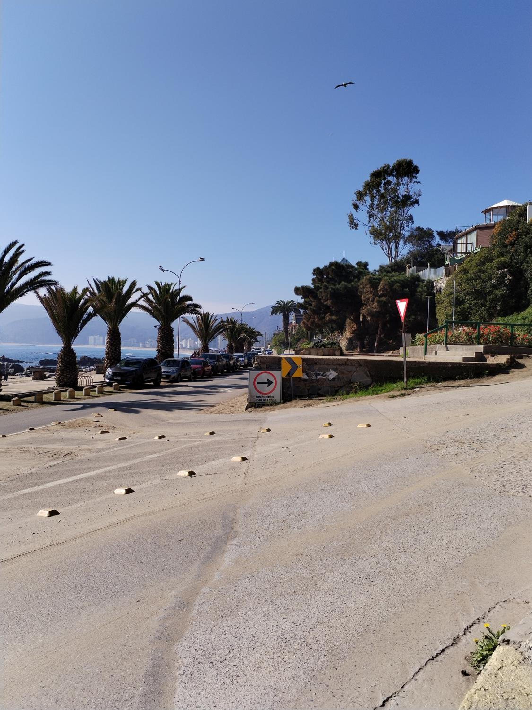 Lomas de Papudo 2
