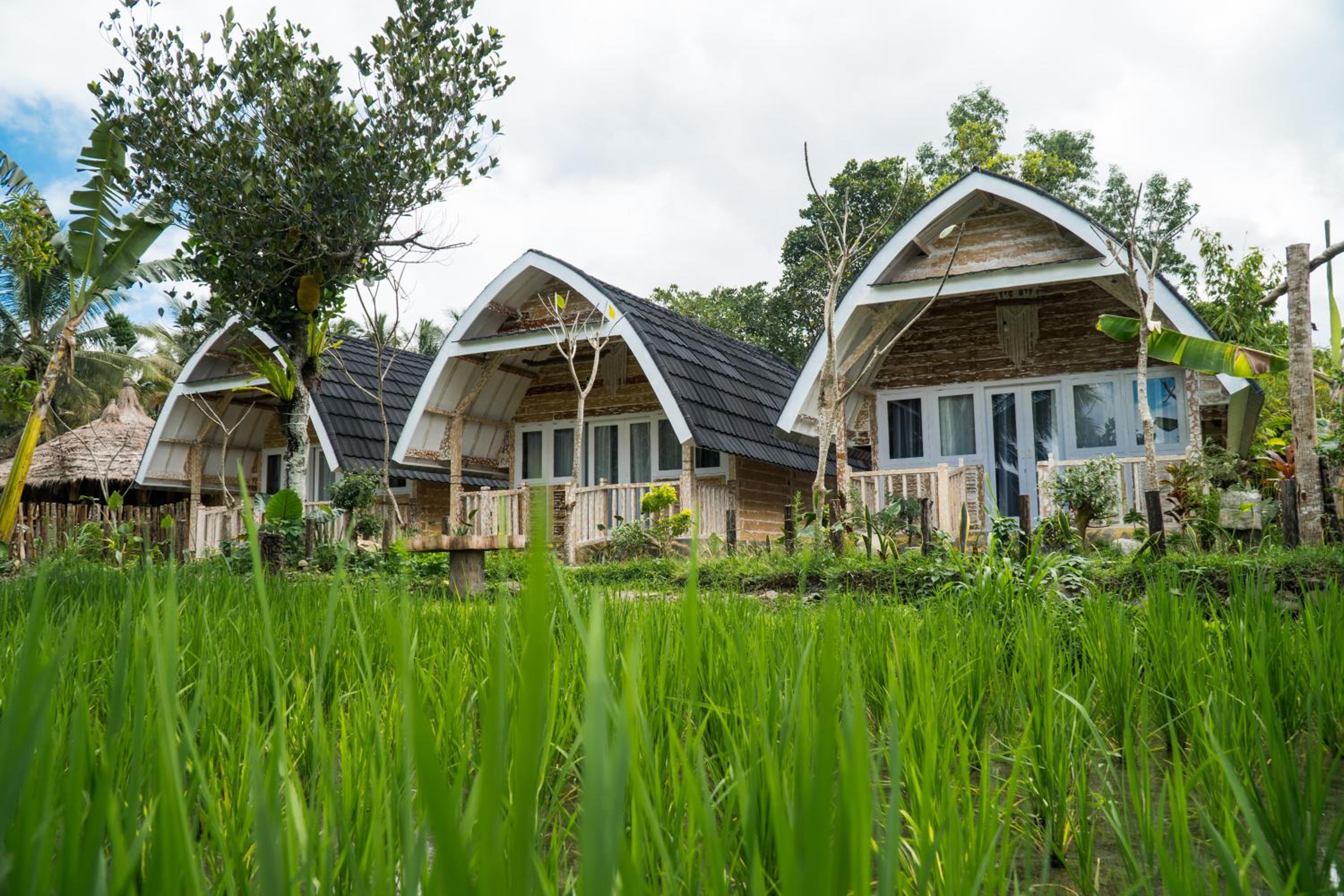 Aranka Tempasan