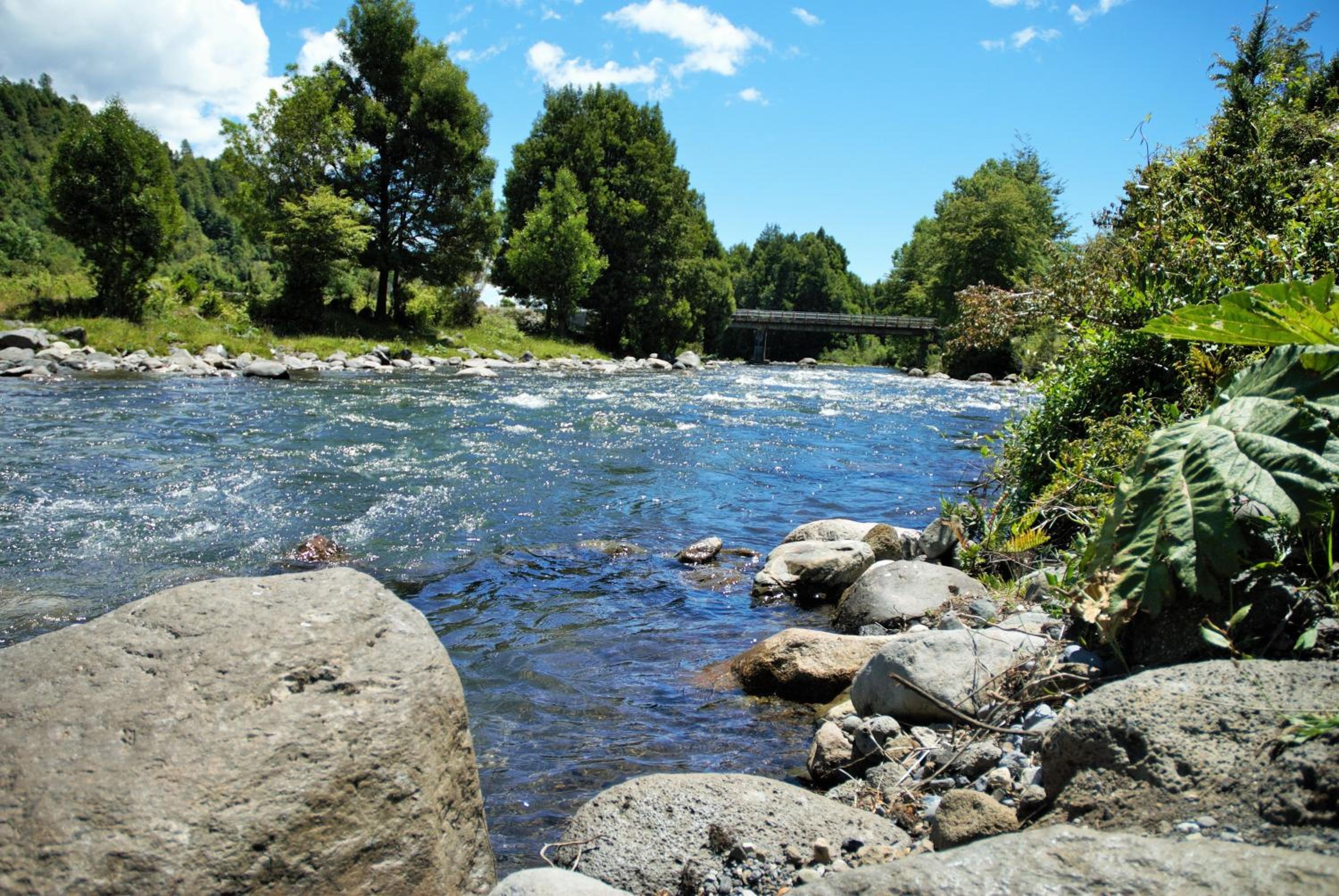 Cabaña Orilla de Río