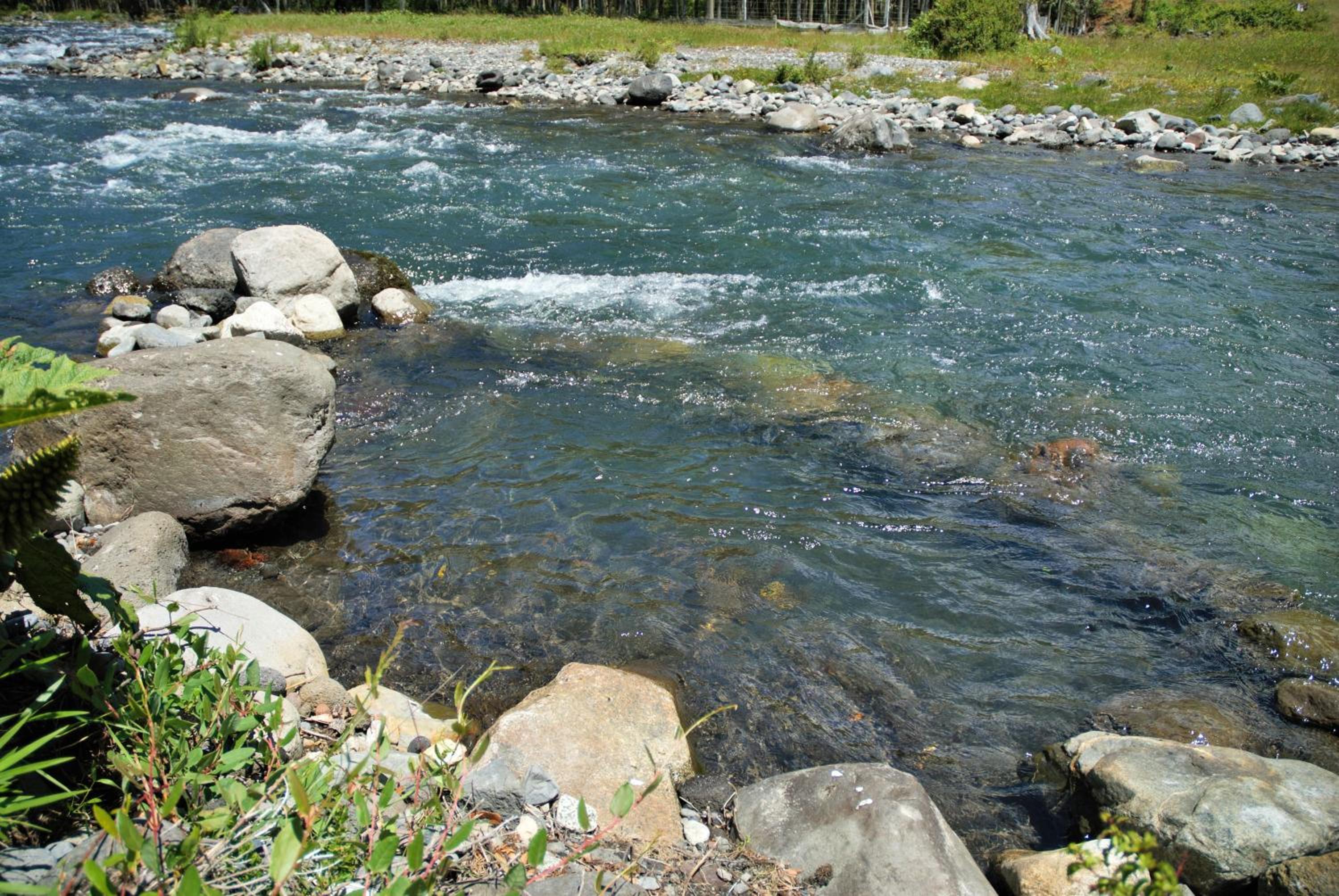 Cabaña Orilla de Río