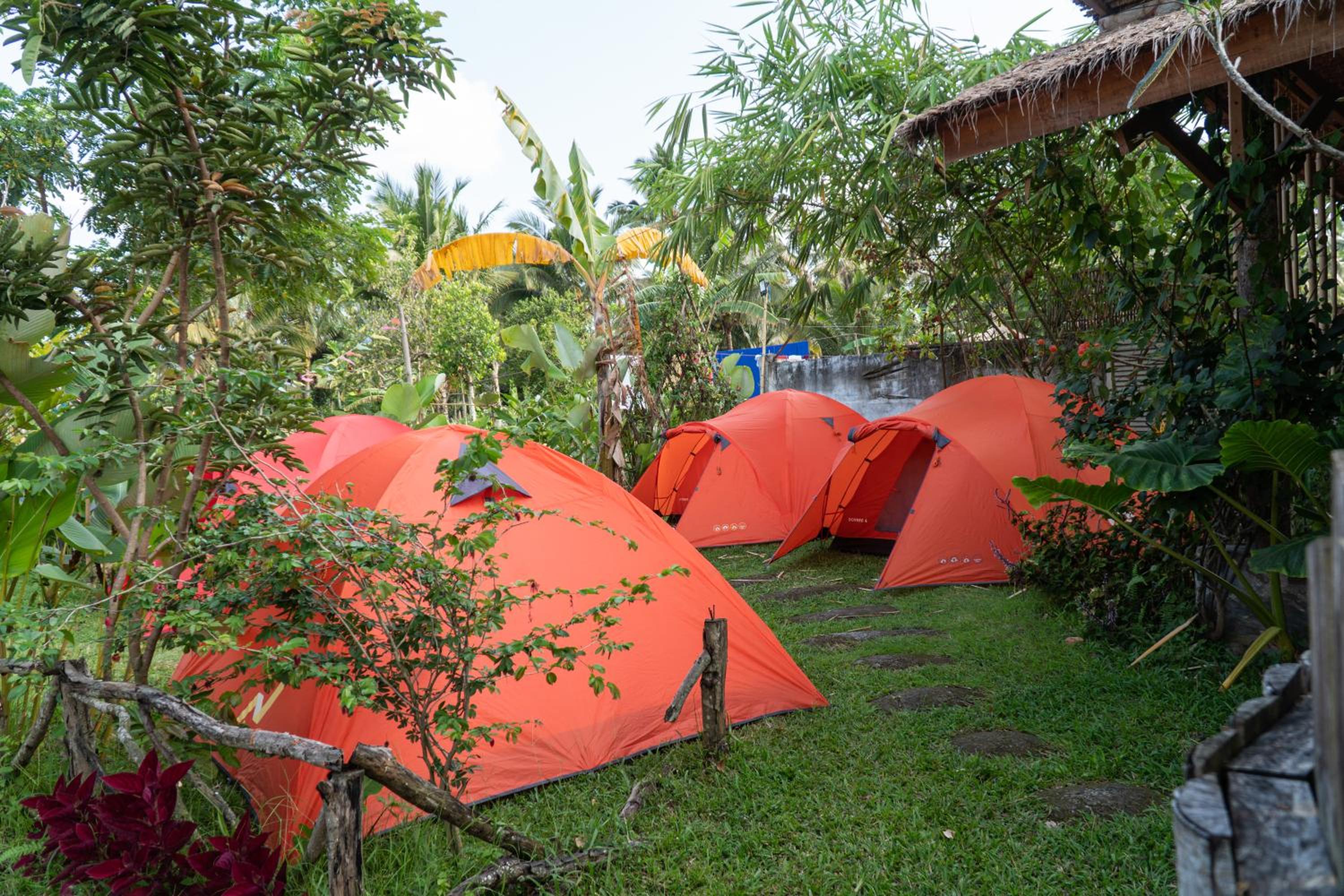 Aranka Tempasan