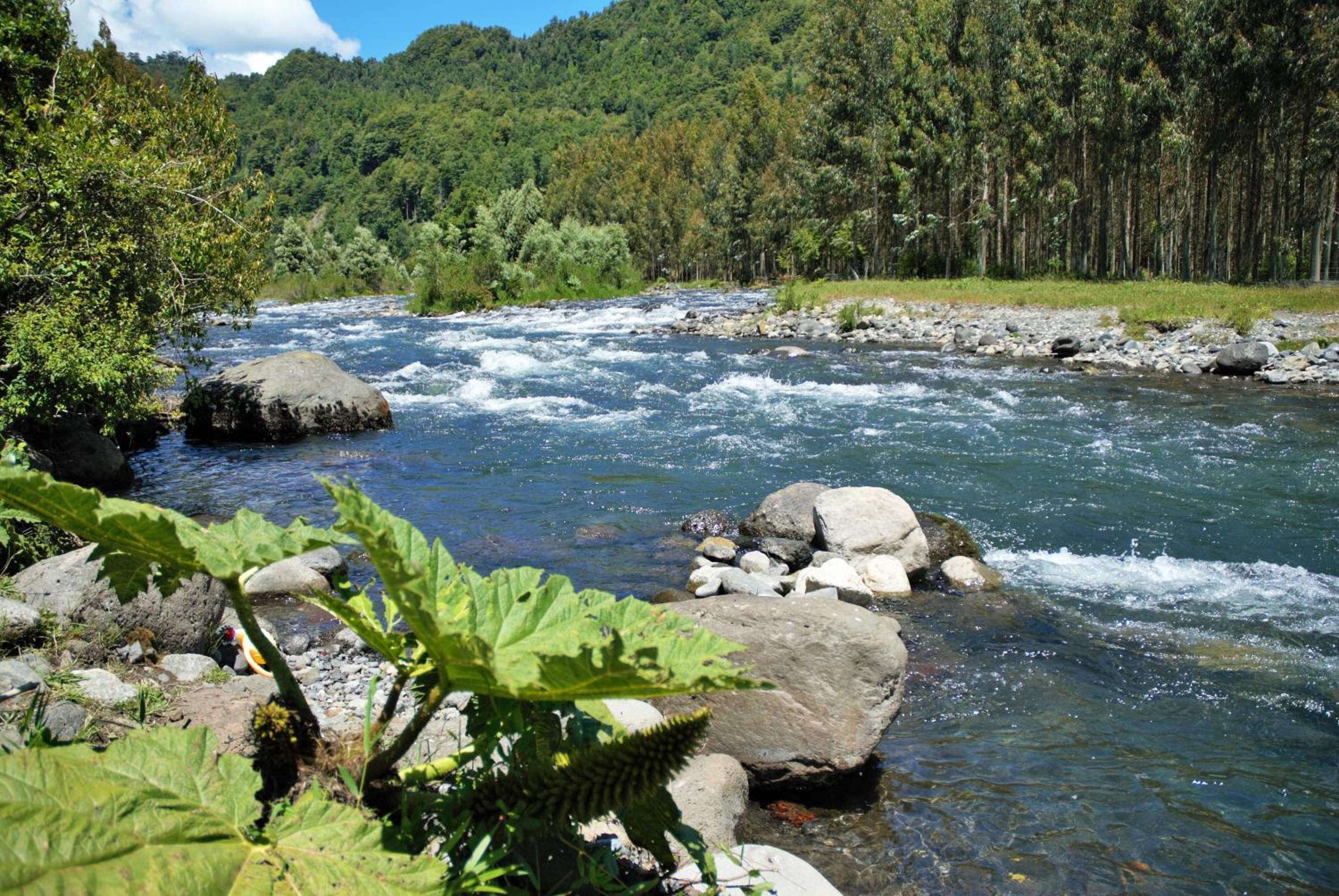 Cabaña Orilla de Río
