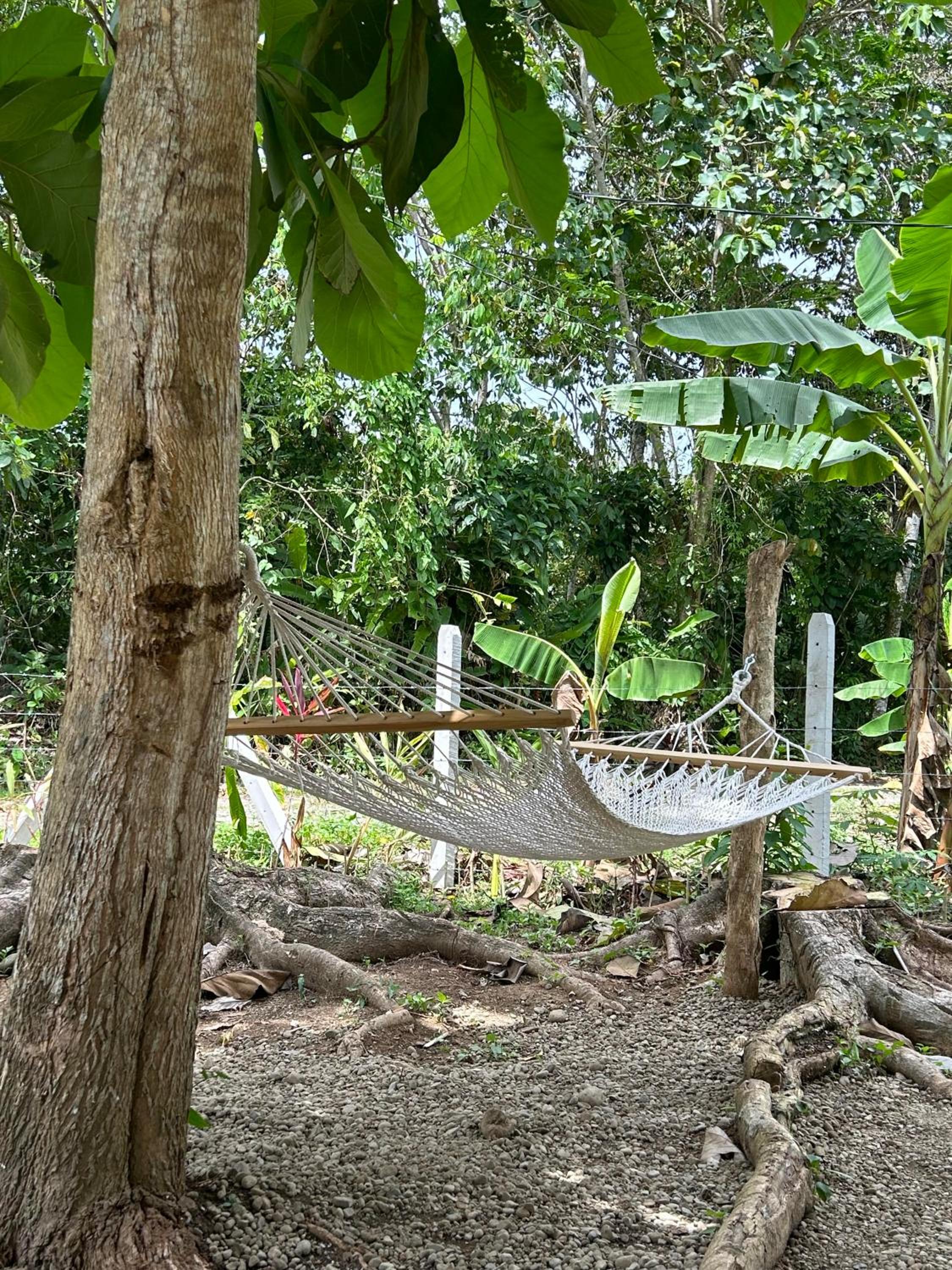 Casa Martin Cahuita Charming Spanish Home