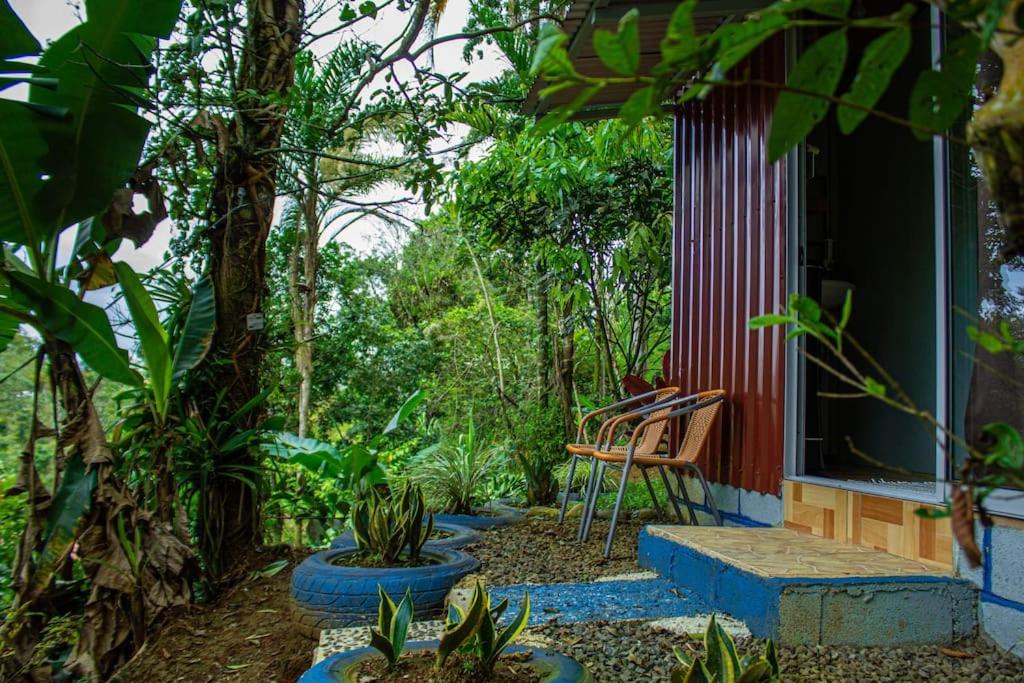 Jungle Cabin w Pool & Nature Trails