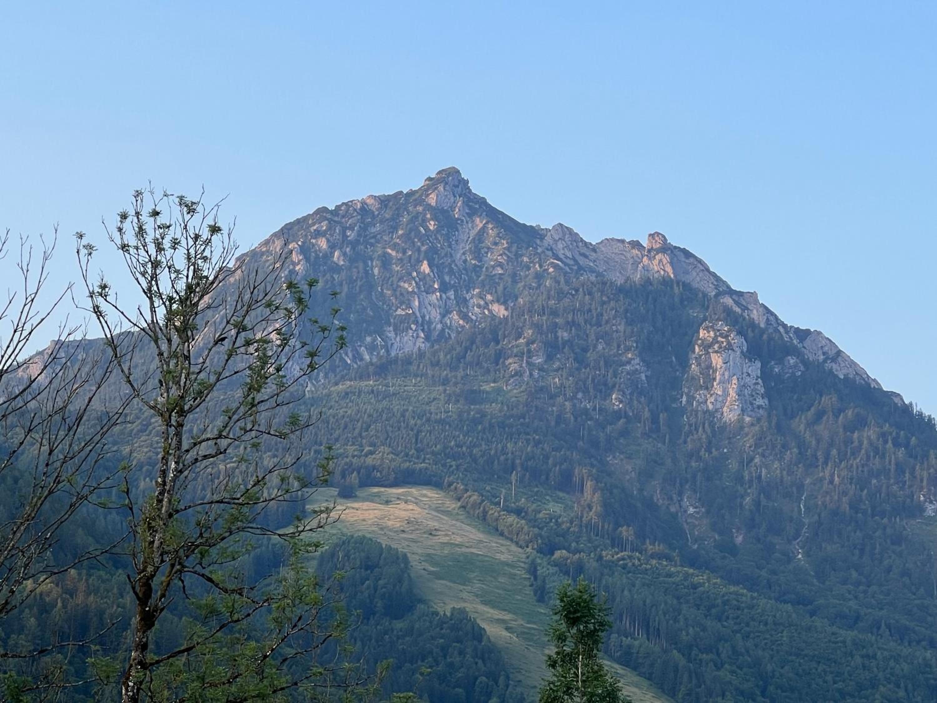 Wolfgangsee Ferienappartement „Almliebe“