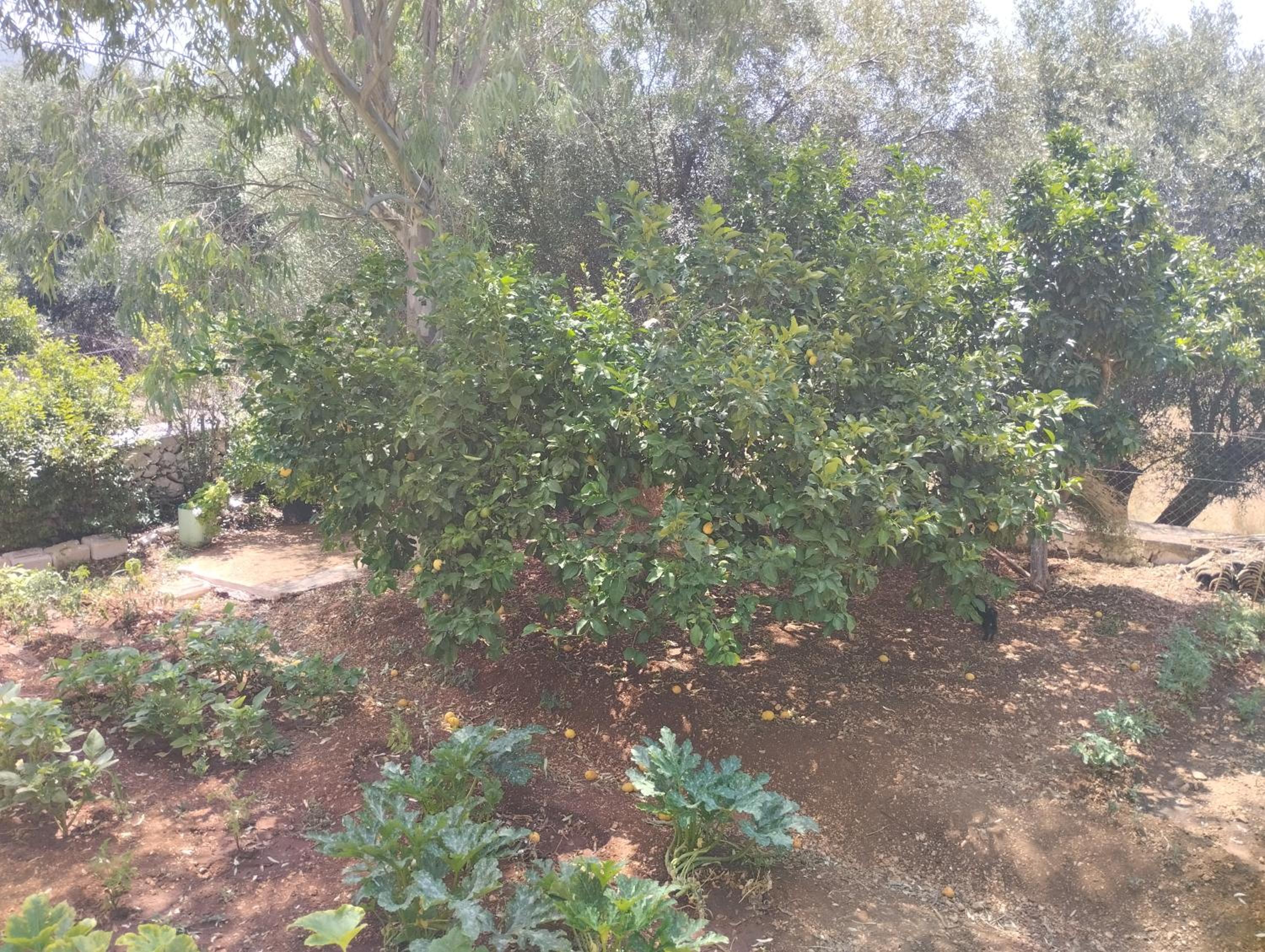Photo 27