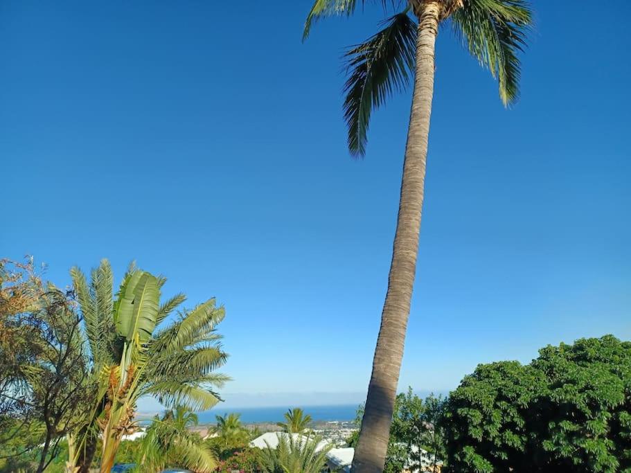 Villa avec piscine vue sur océan