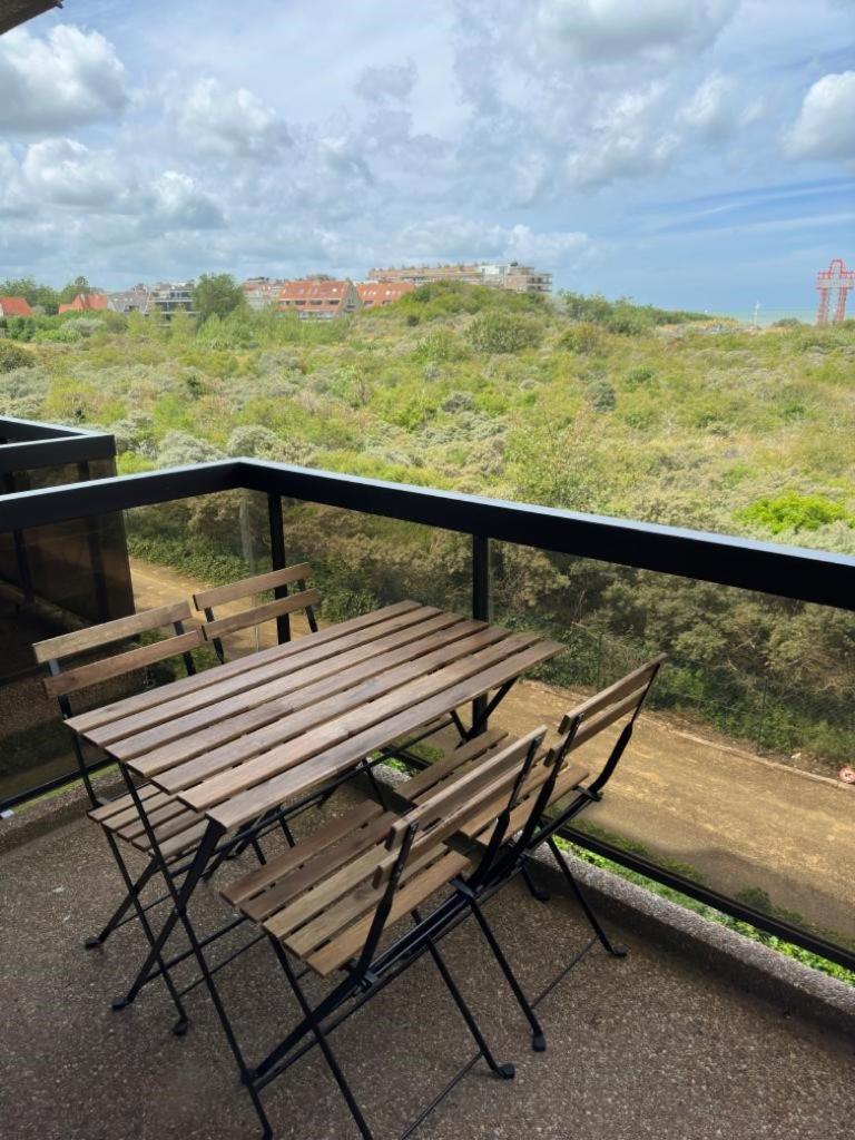 CREVETTE Gezellig appartement met zonnige terrassen en zeezicht - Toplocatie!