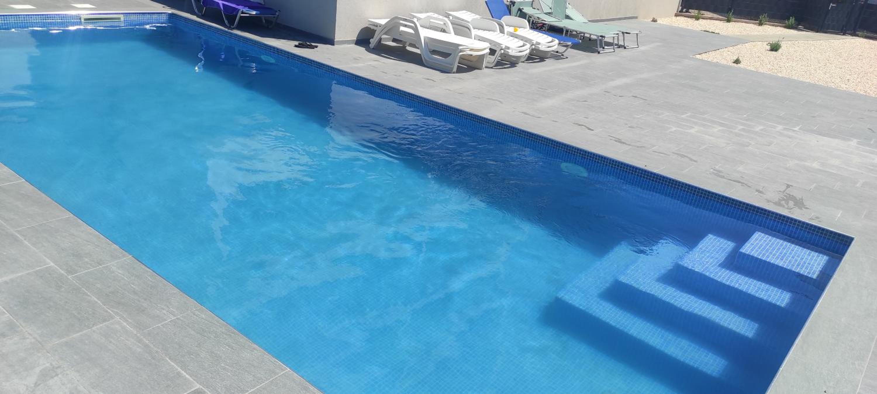 Apartment Turtles
