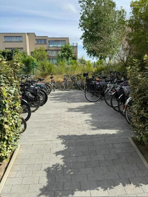 CREVETTE Gezellig appartement met zonnige terrassen en zeezicht - Toplocatie!