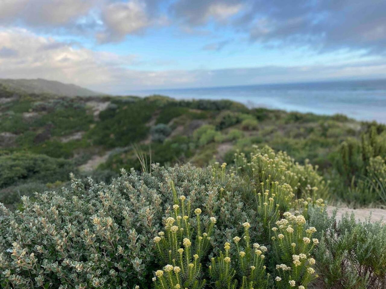 Witjweri at beach 3 with linen and wifi