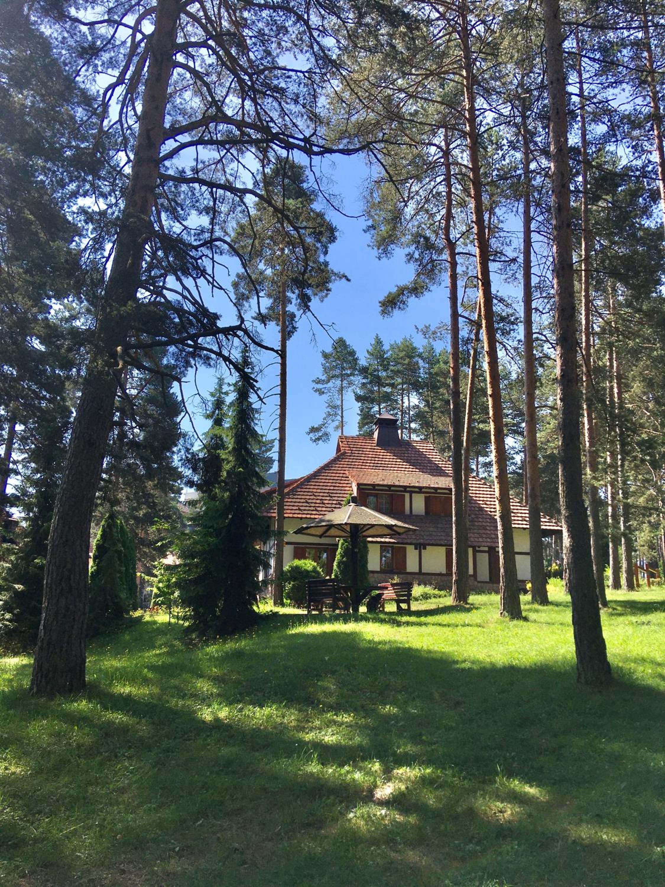 KRALJEVI KONACI - Vila Zelena Dolina - Zlatibor view 3