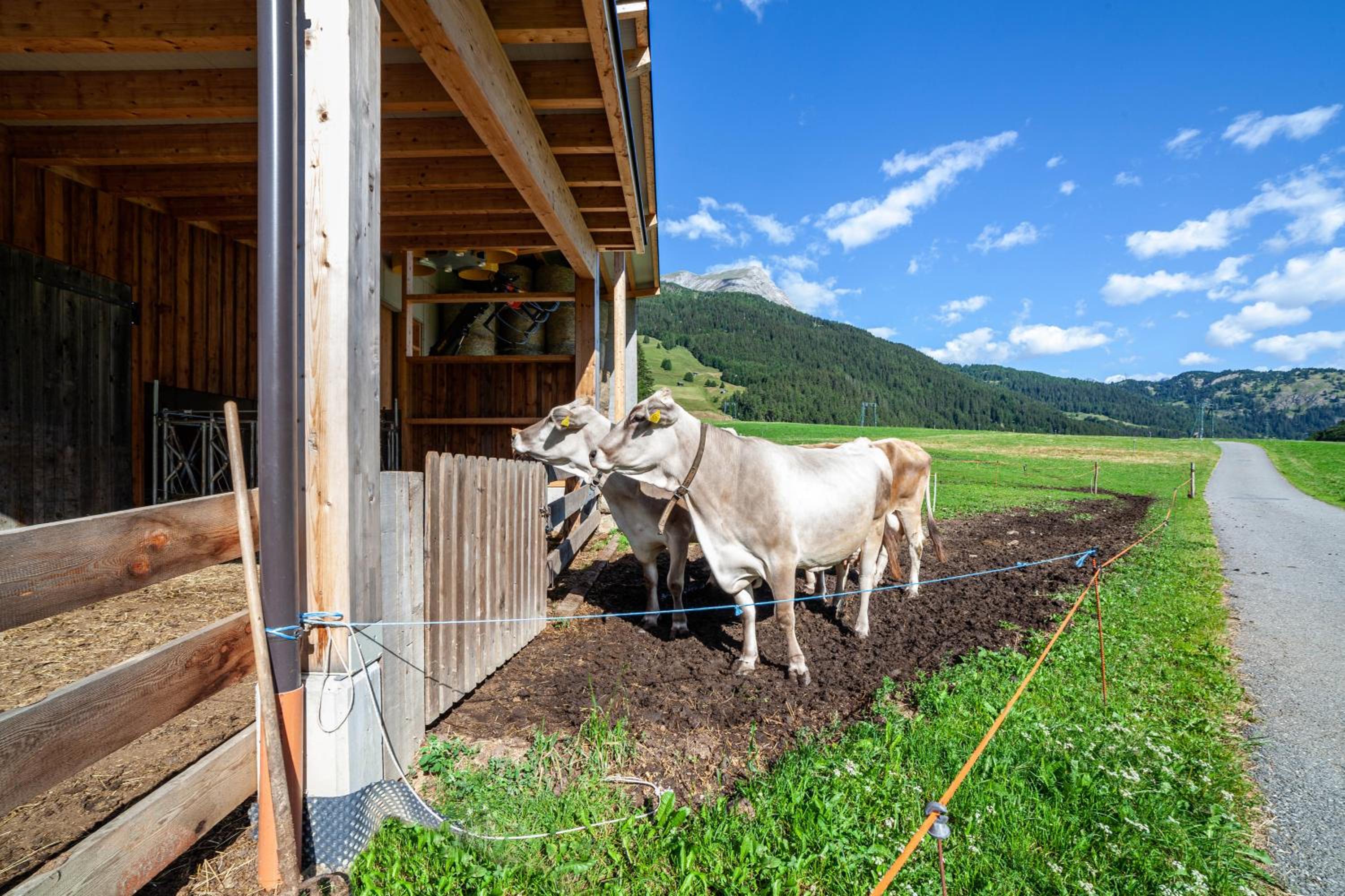 Mühlanderhof Apt Klopairspitze
