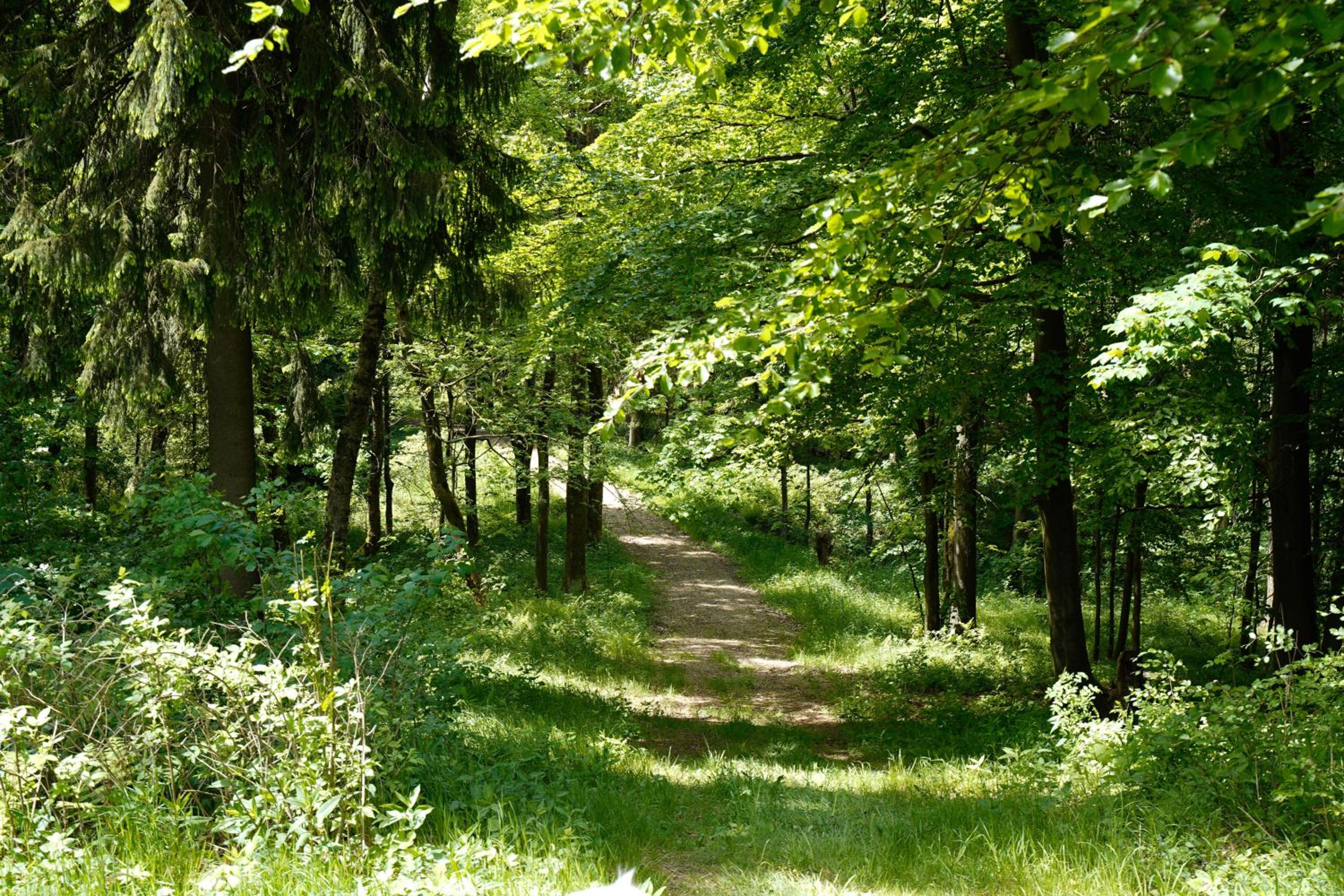 Ferienhäuser Olbernhau Erzgebirge